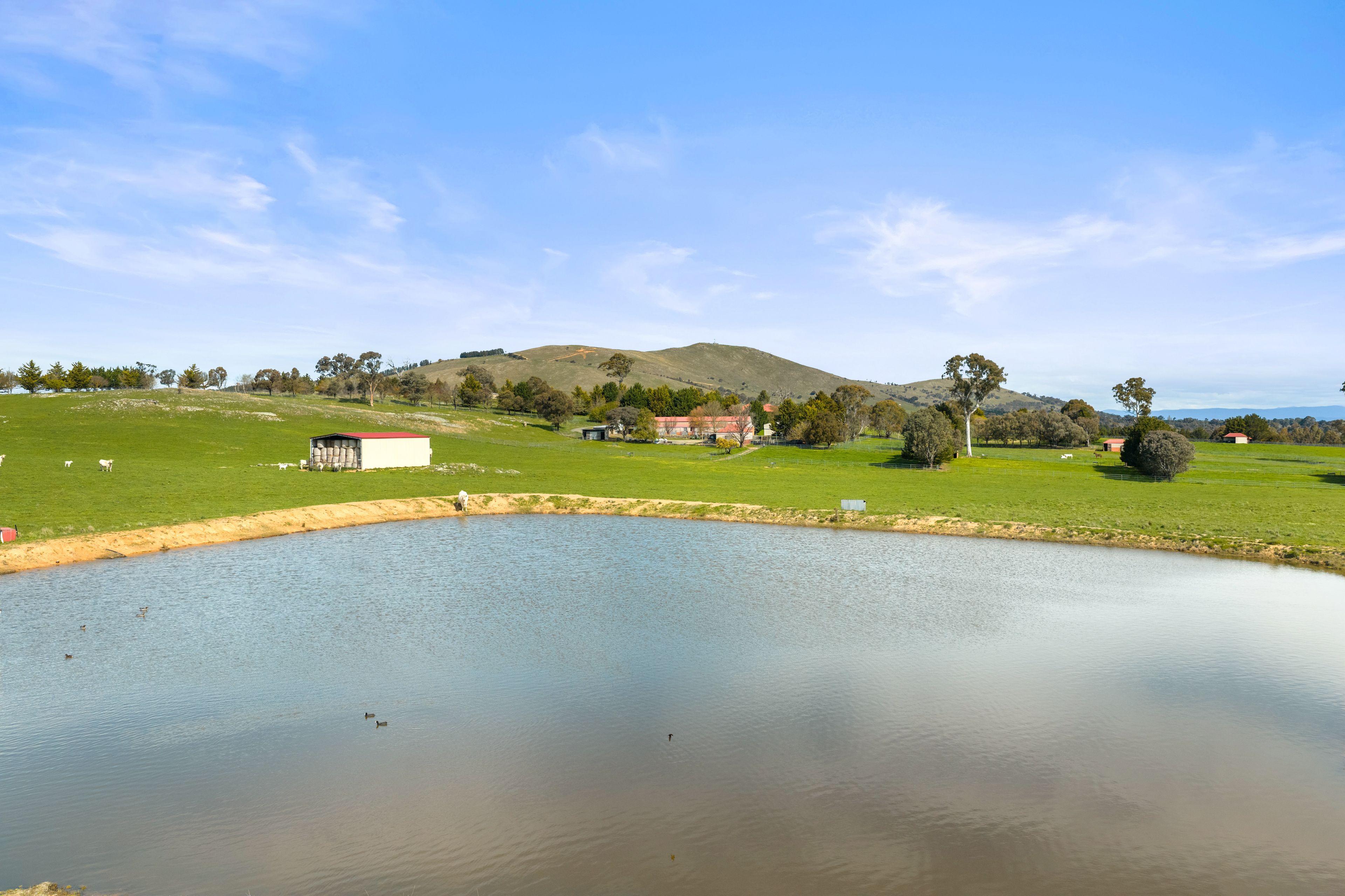 Exceptional Equestrian and Rural Lifestyle Property Mixed Farming | NSW Springrange, NSW 2618 | Prop-GPT the AI-Powered Property Portal
