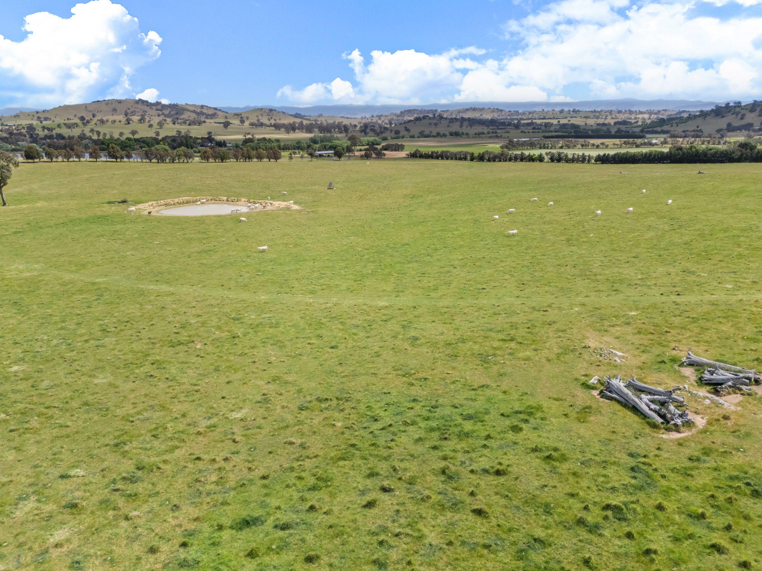 OUTSTANDING RURAL ESTATE