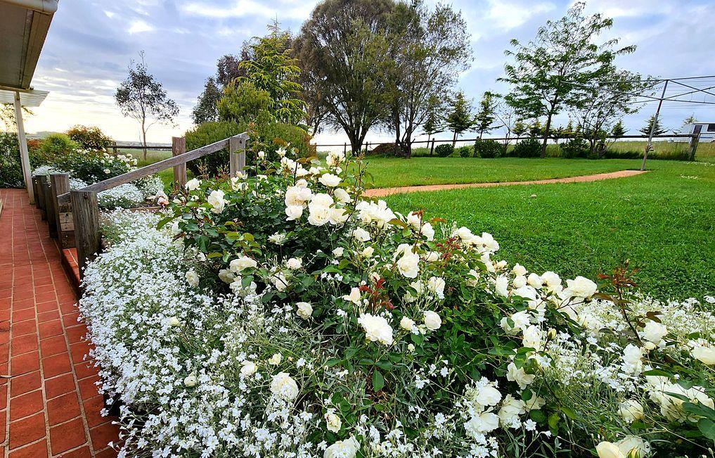 25 Acres of Country Lifestyle Living