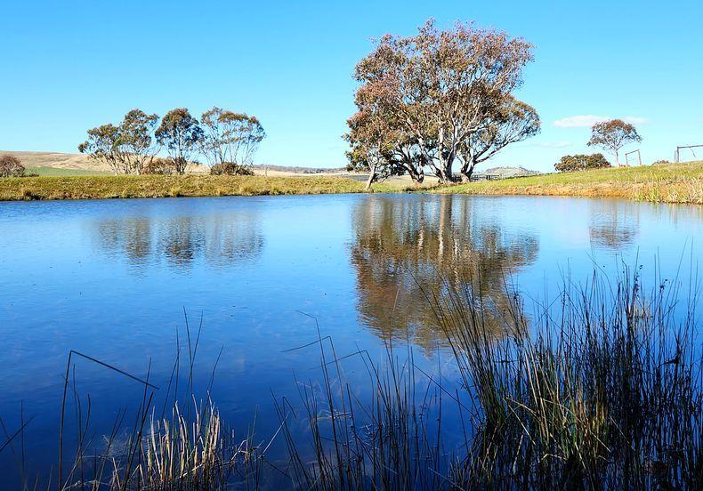 25 Acres of Country Lifestyle Living