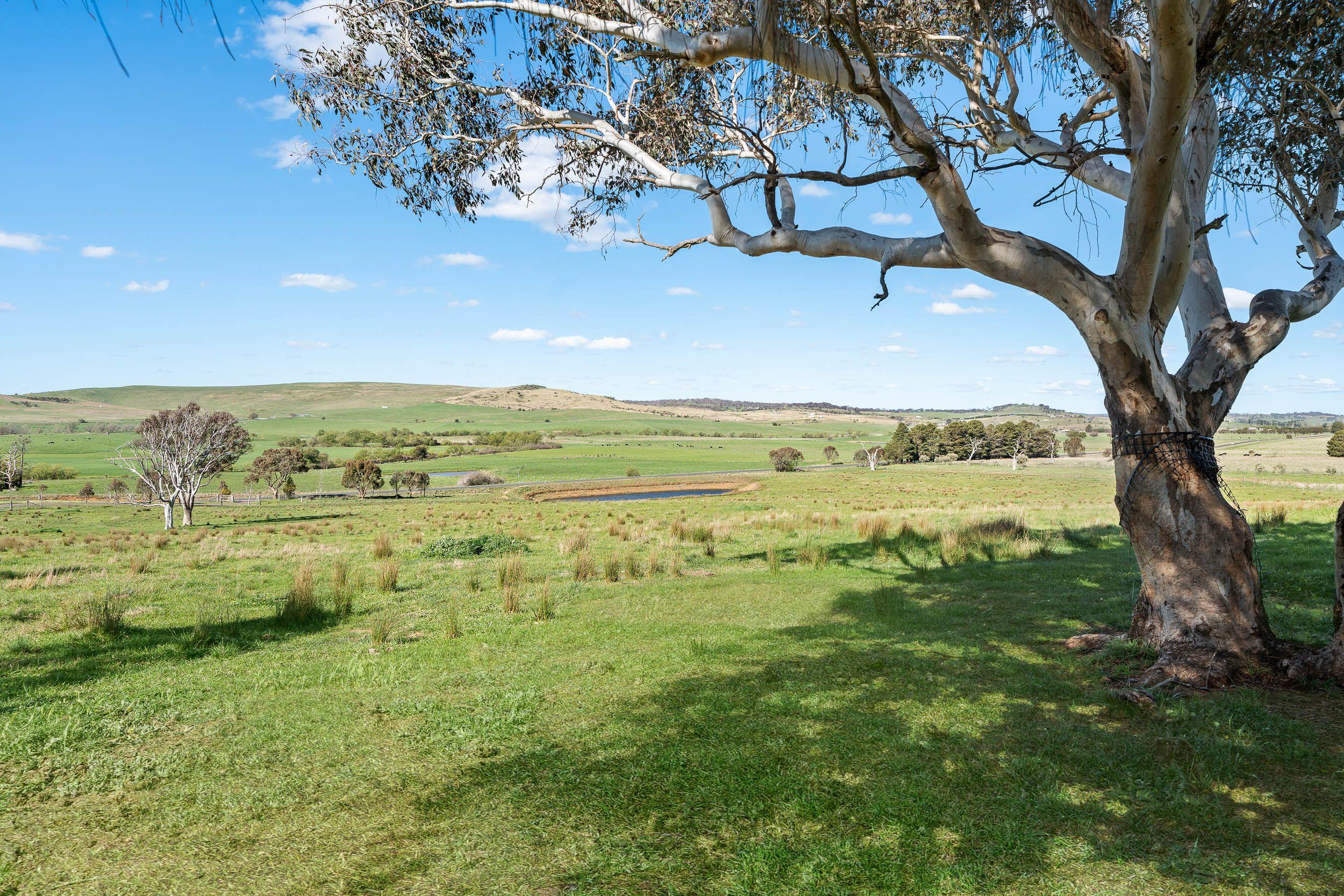 25 Acres of Country Lifestyle Living