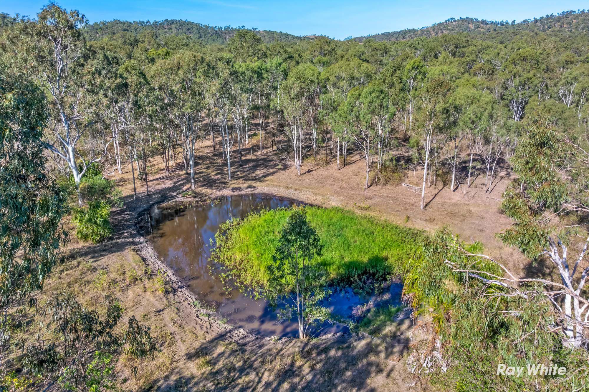 200+ acres of country meets Coast- The ultimate Beef to Reef Lifestyle