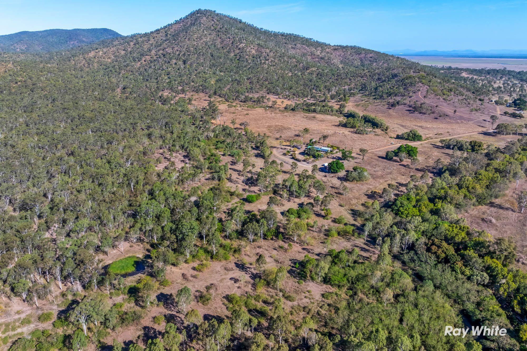 200+ acres of country meets Coast- The ultimate Beef to Reef Lifestyle