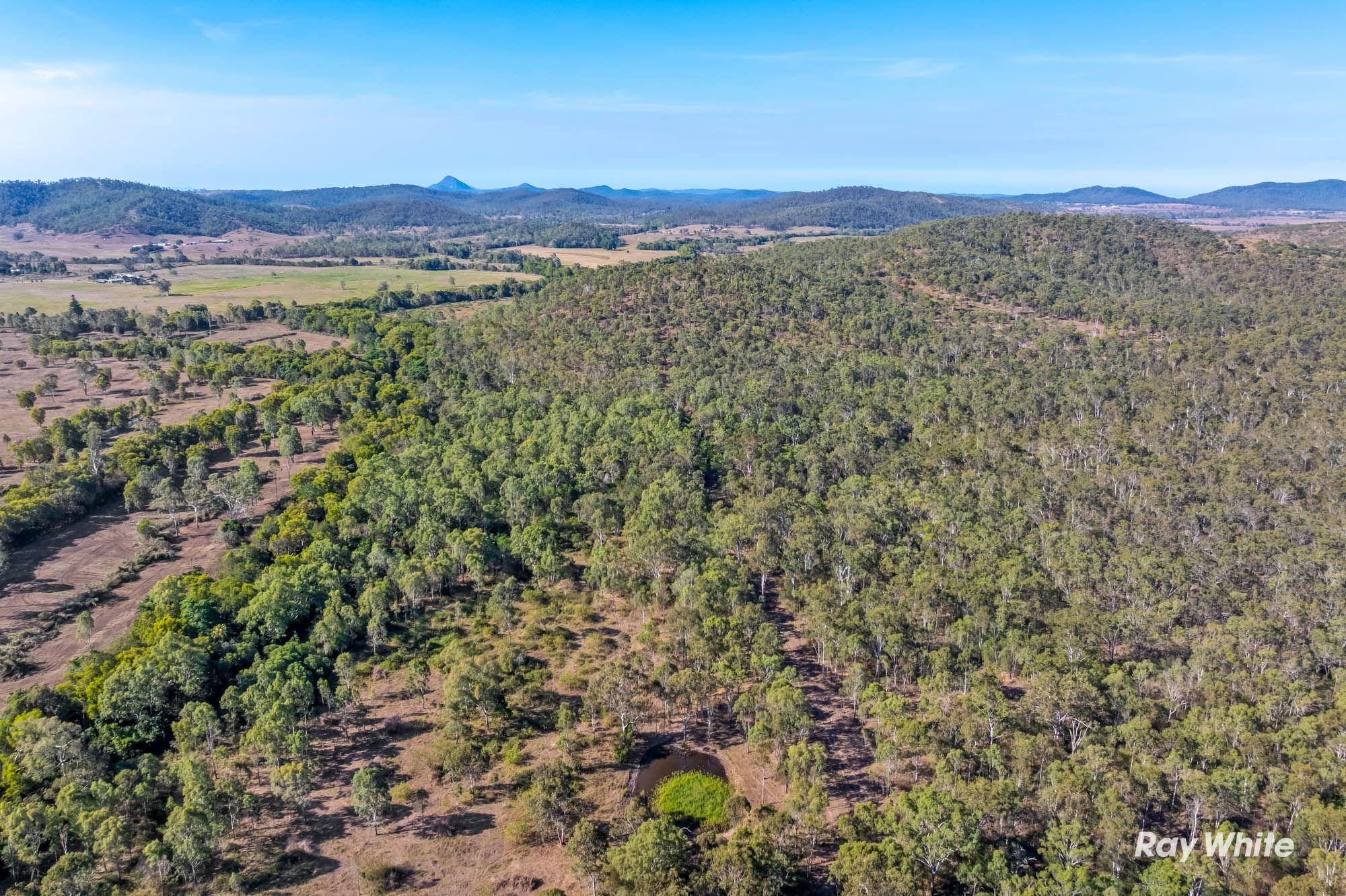 200+ acres of country meets Coast- The ultimate Beef to Reef Lifestyle