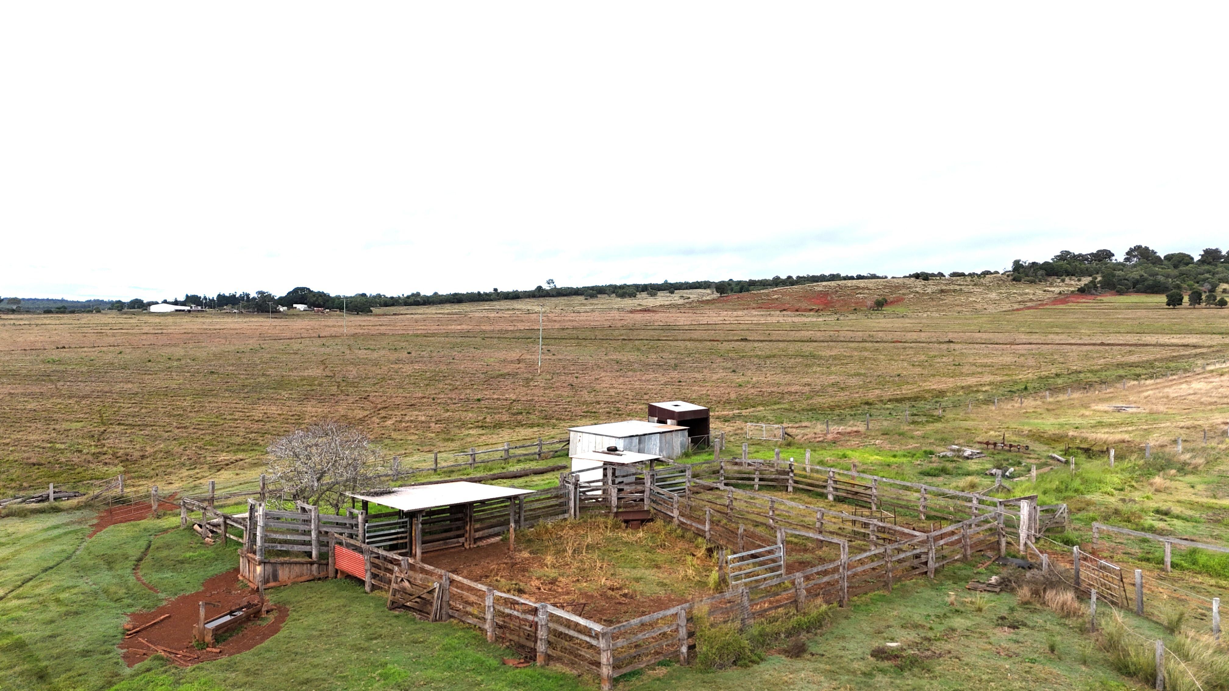 Looking For High Weight Gain For Your Cattle?  Here's Your Block Other | QLD Stalworth, QLD 4613 | Prop-GPT the AI-Powered Property Portal