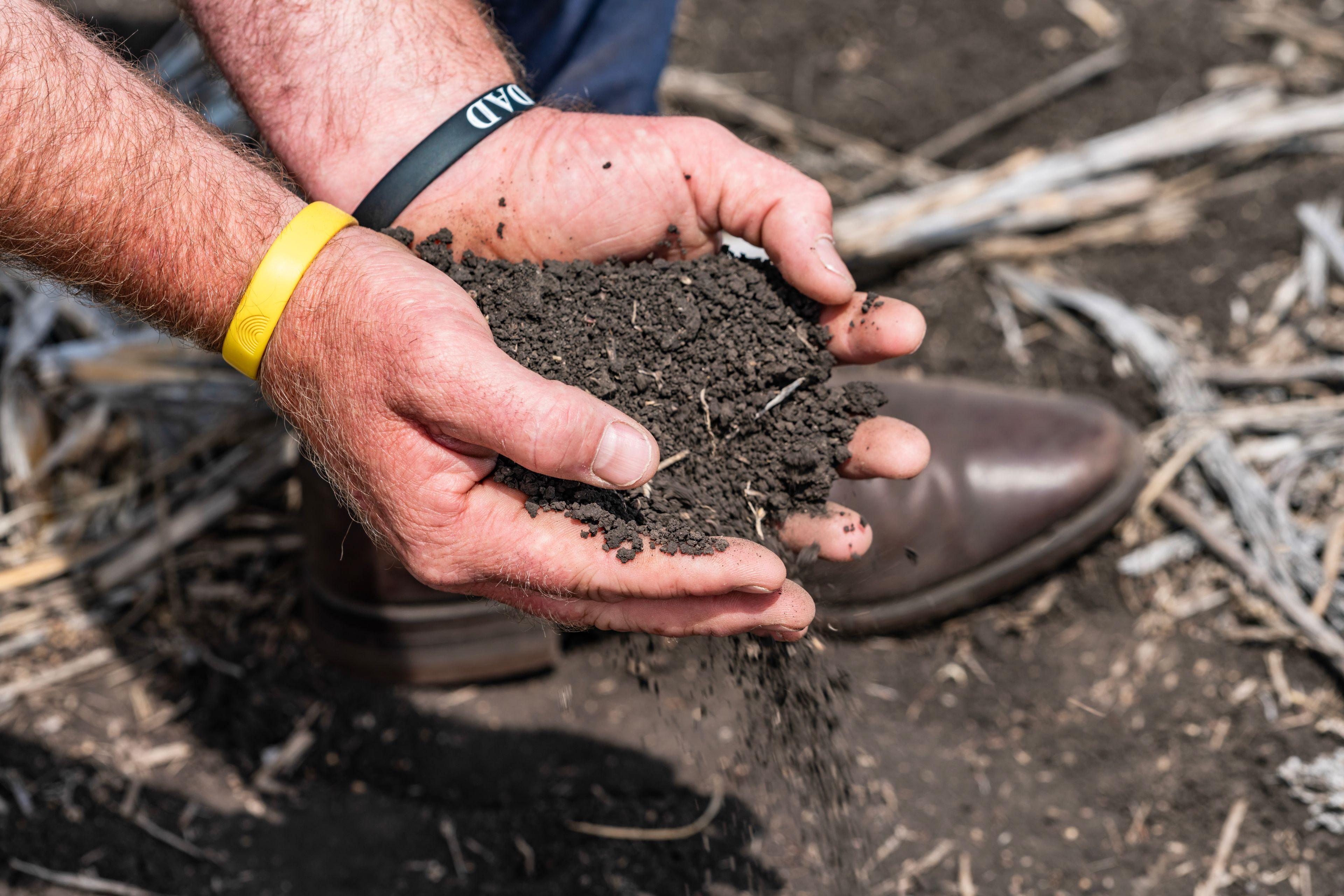 The Perfect Blend of Lifestyle & Productivity