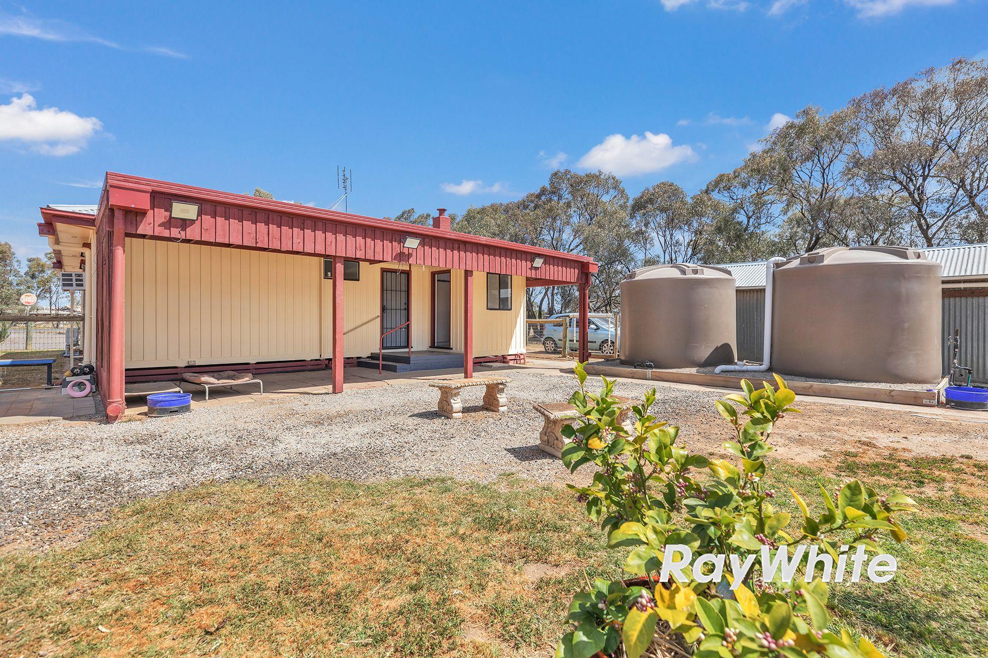 Giddy Up - We've Found Your Perfect Horse Property!