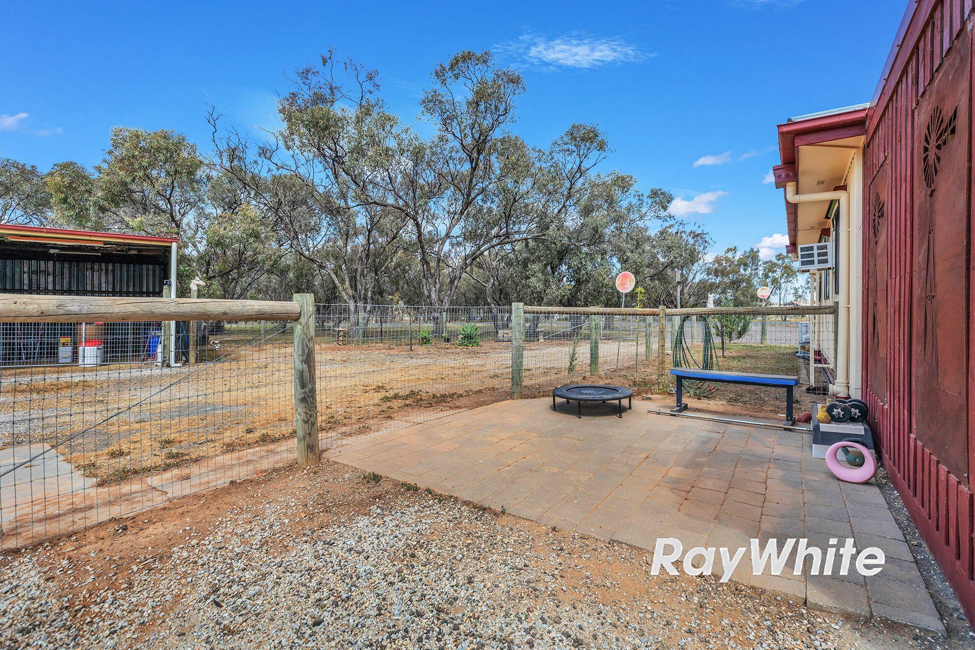 Giddy Up - We've Found Your Perfect Horse Property!