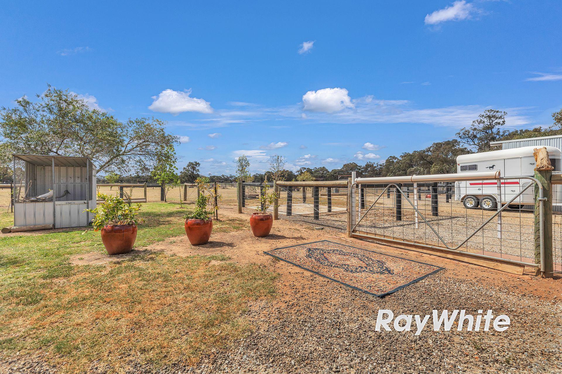 Giddy Up - We've Found Your Perfect Horse Property!
