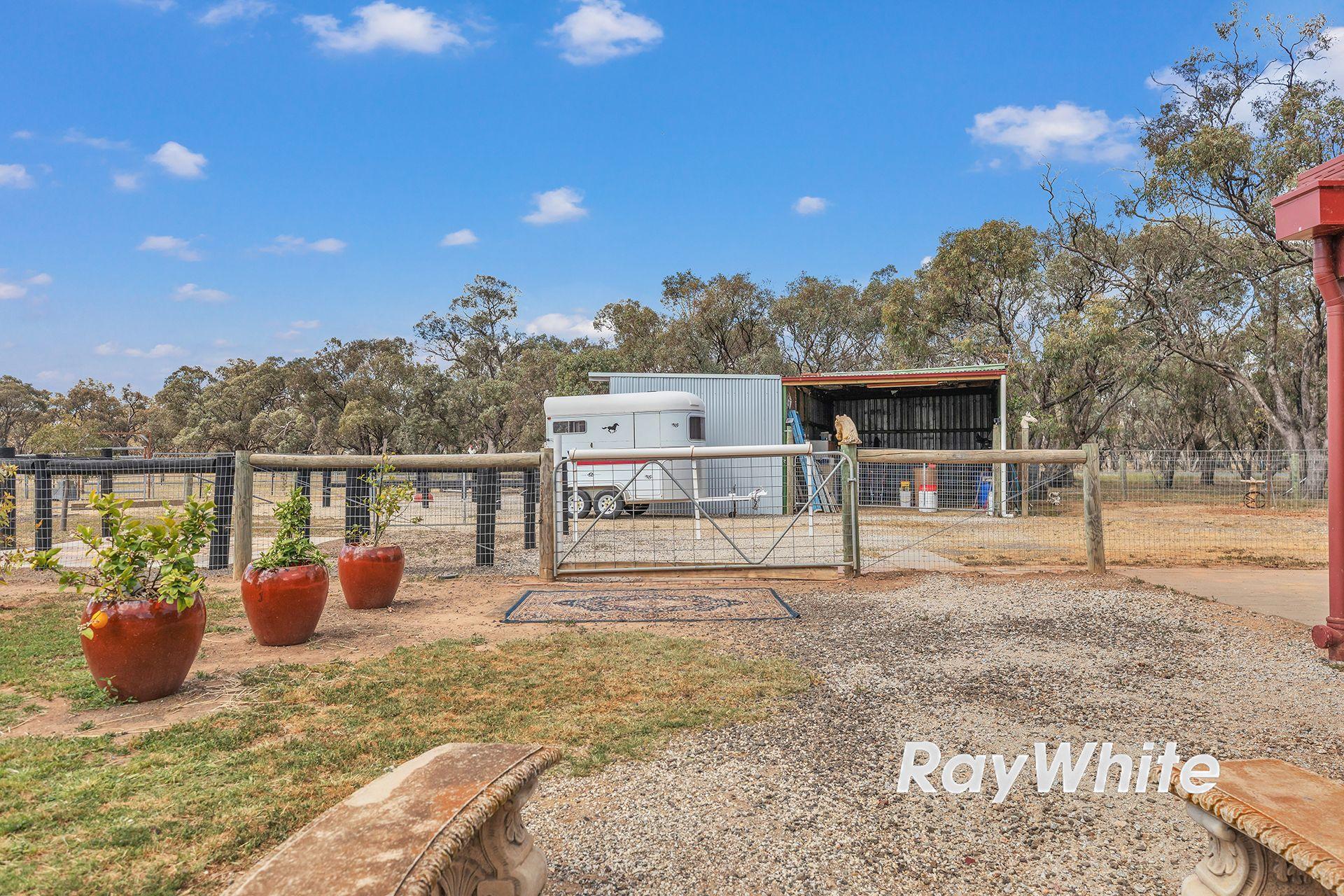 Giddy Up - We've Found Your Perfect Horse Property!