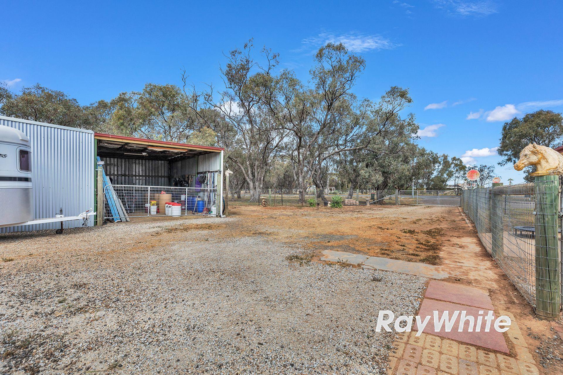 Giddy Up - We've Found Your Perfect Horse Property!