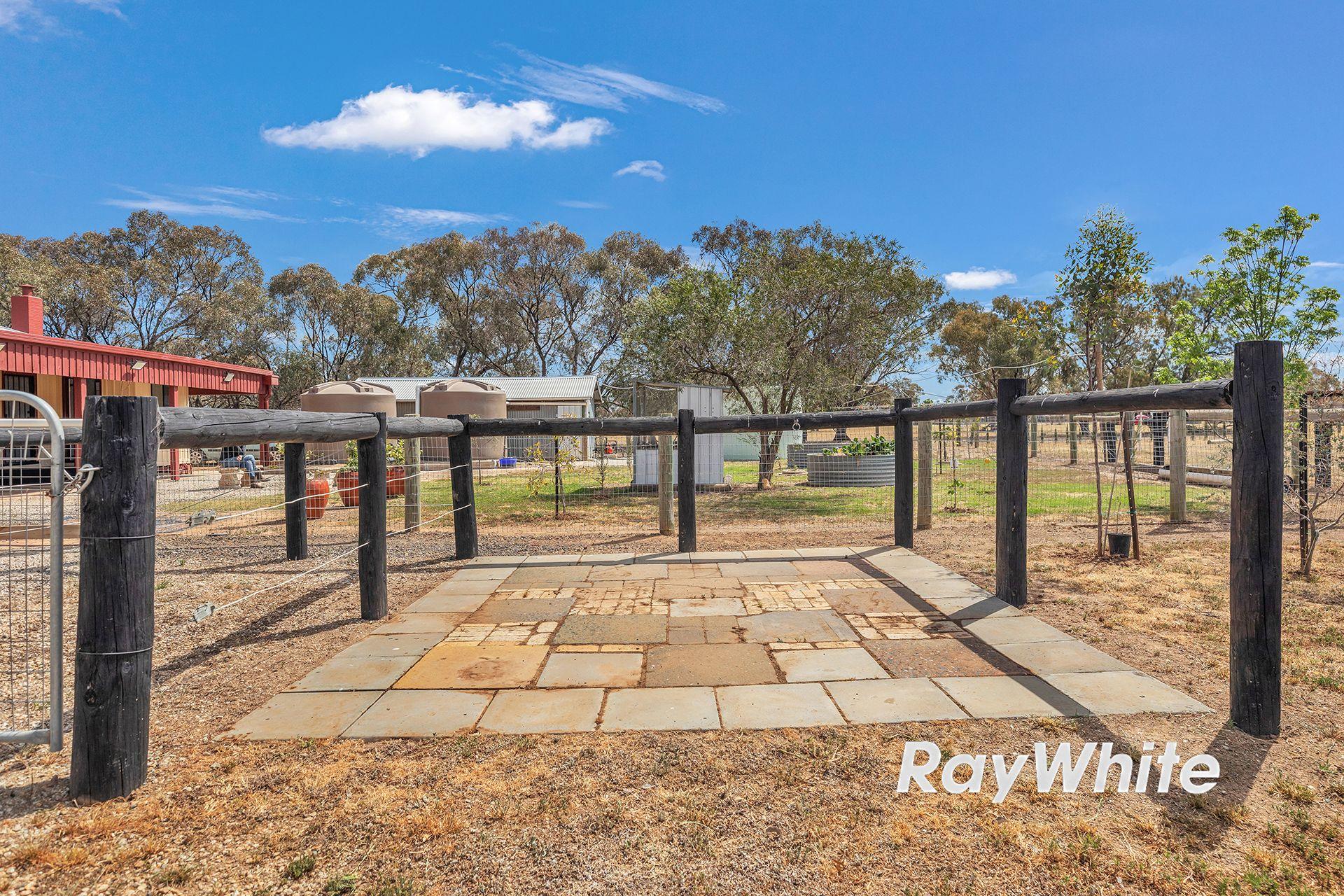 Giddy Up - We've Found Your Perfect Horse Property!