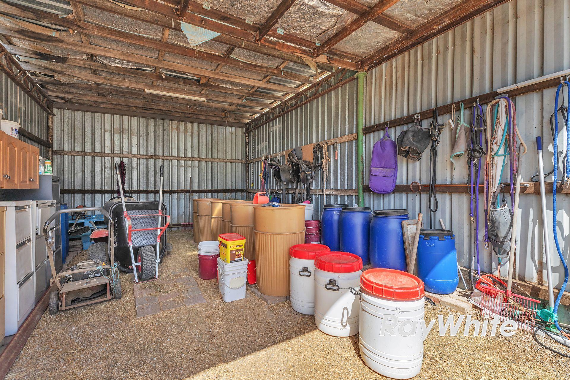 Giddy Up - We've Found Your Perfect Horse Property!
