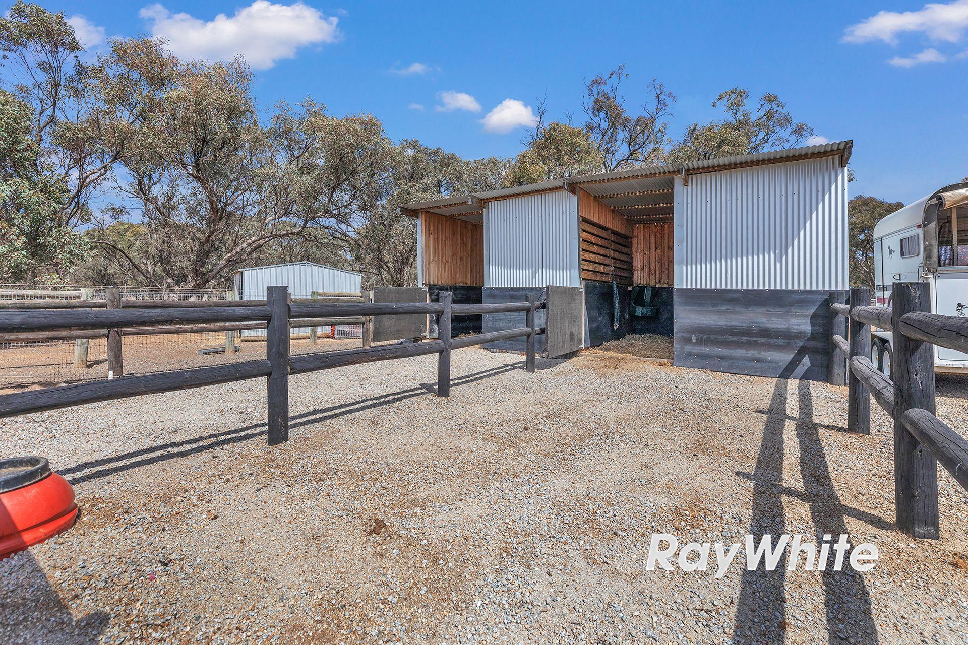 Giddy Up - We've Found Your Perfect Horse Property!