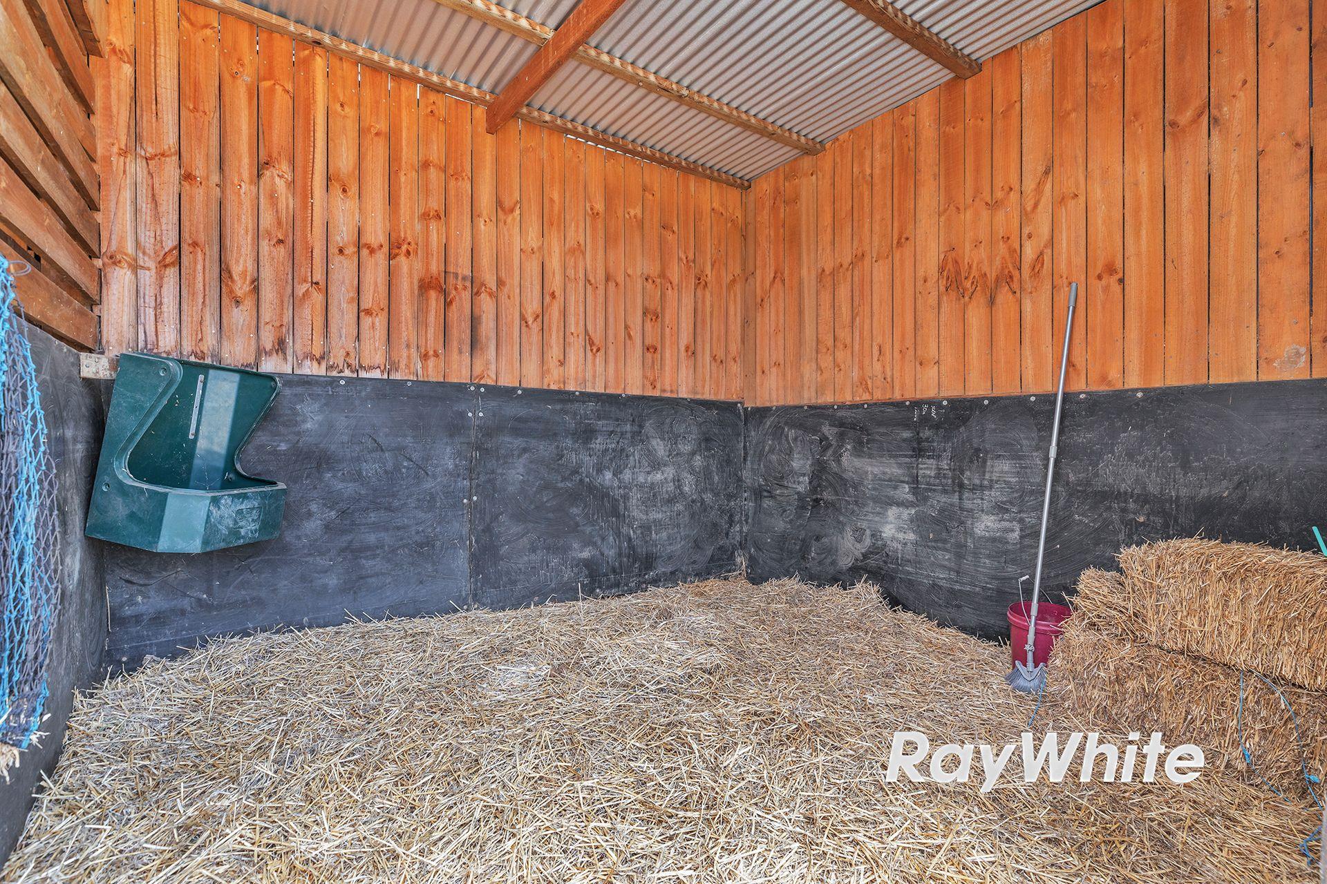 Giddy Up - We've Found Your Perfect Horse Property!