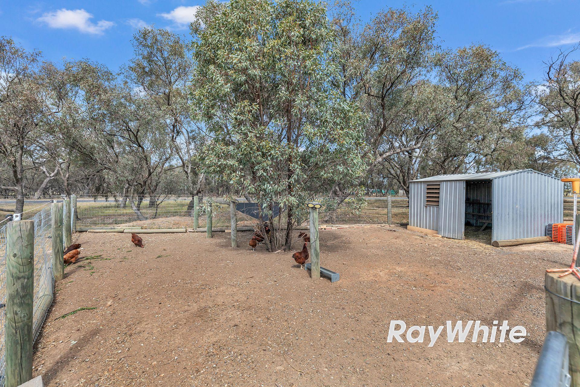 Giddy Up - We've Found Your Perfect Horse Property!