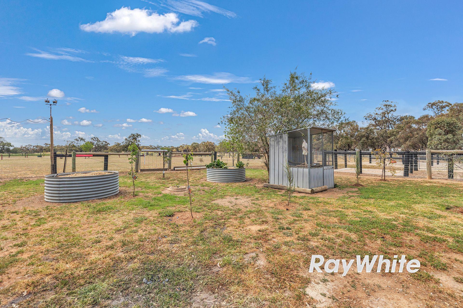 Giddy Up - We've Found Your Perfect Horse Property!