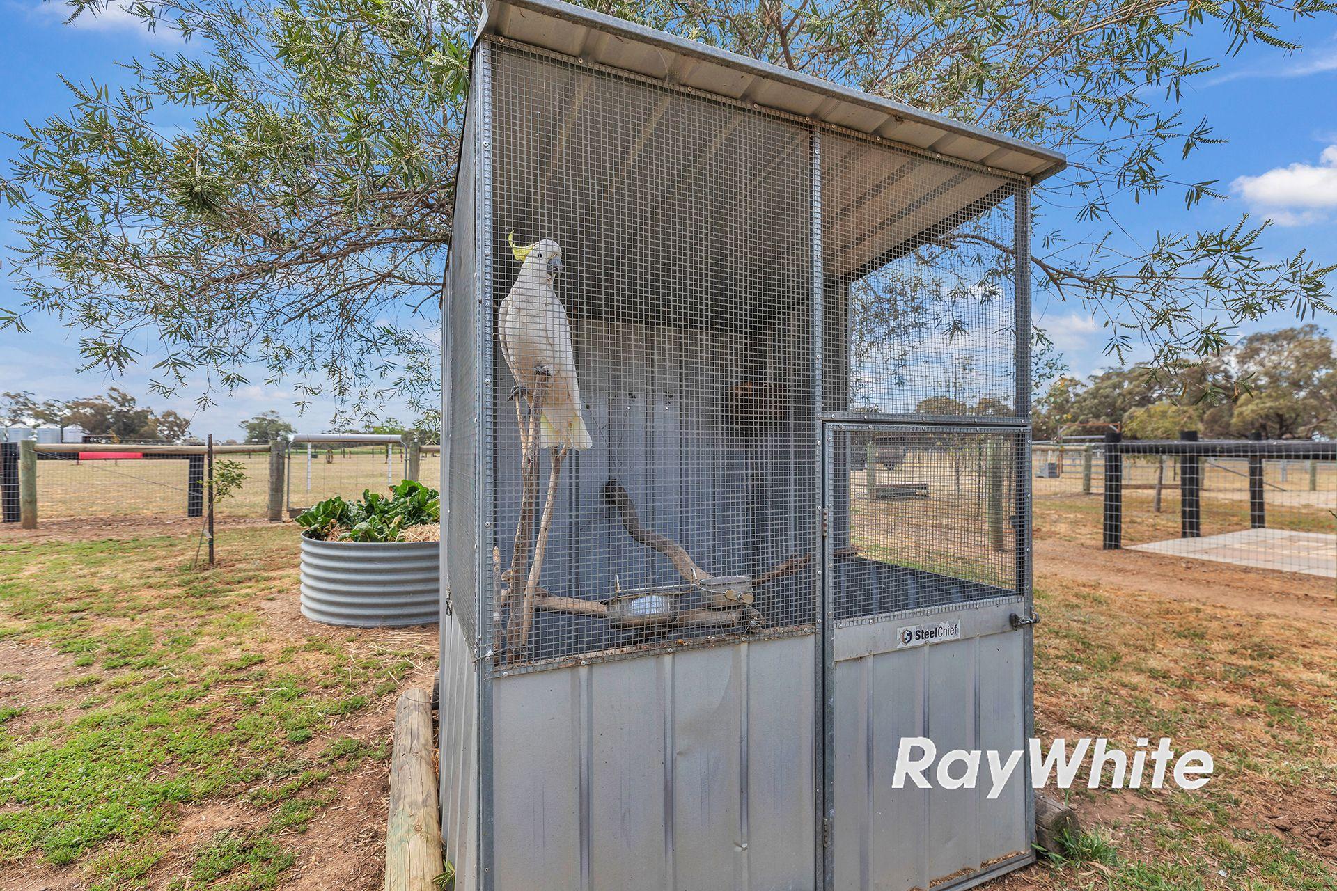 Giddy Up - We've Found Your Perfect Horse Property!