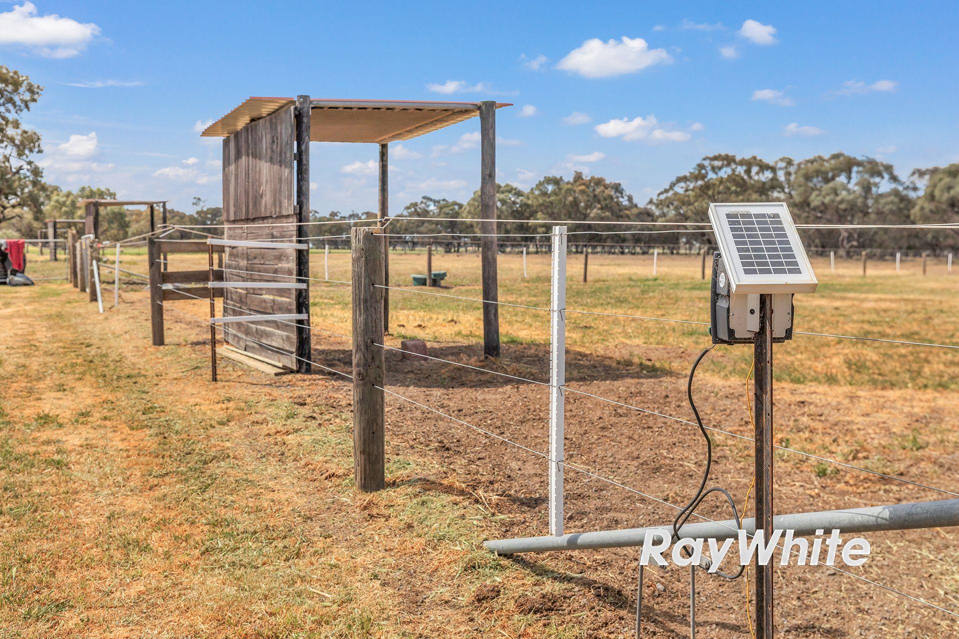 Giddy Up - We've Found Your Perfect Horse Property!