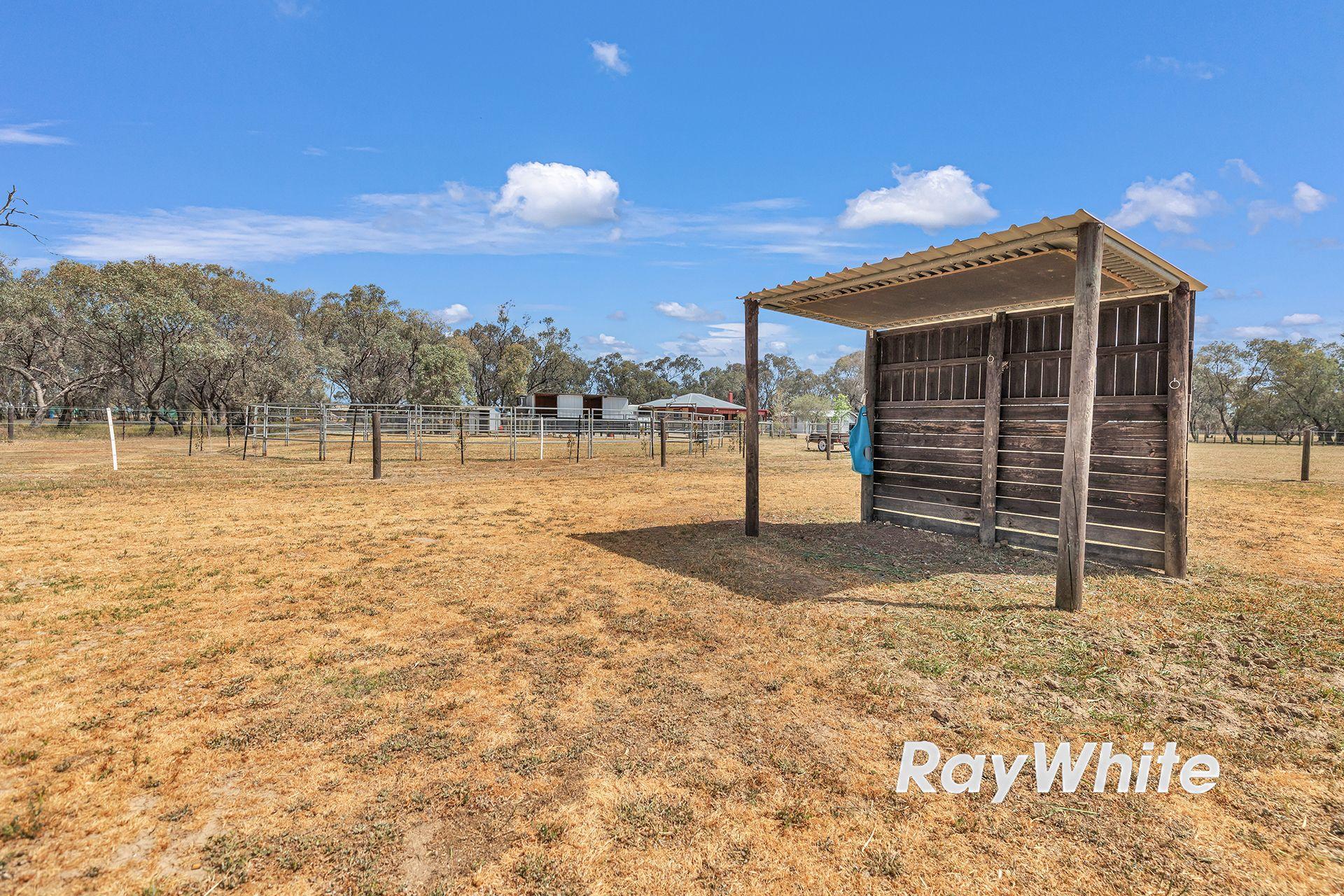 Giddy Up - We've Found Your Perfect Horse Property!