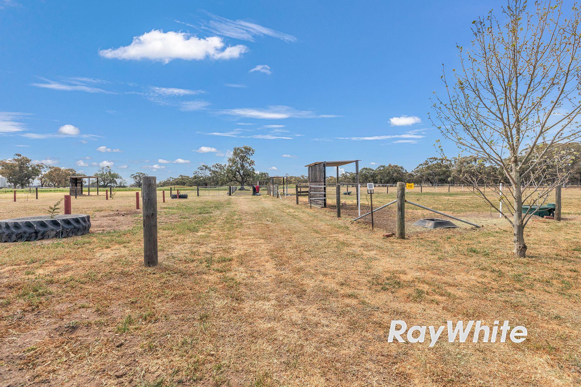 Giddy Up - We've Found Your Perfect Horse Property!