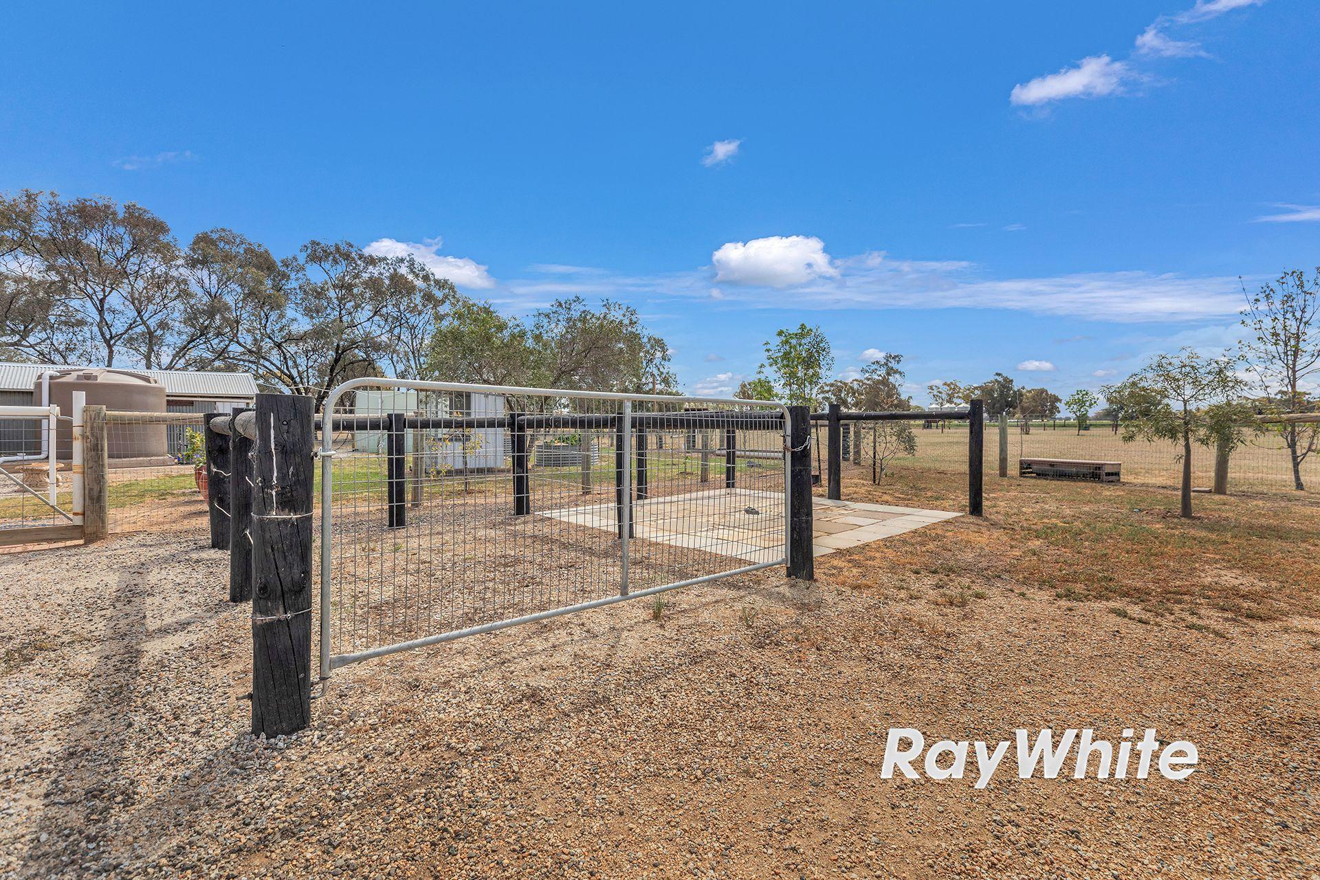 Giddy Up - We've Found Your Perfect Horse Property!