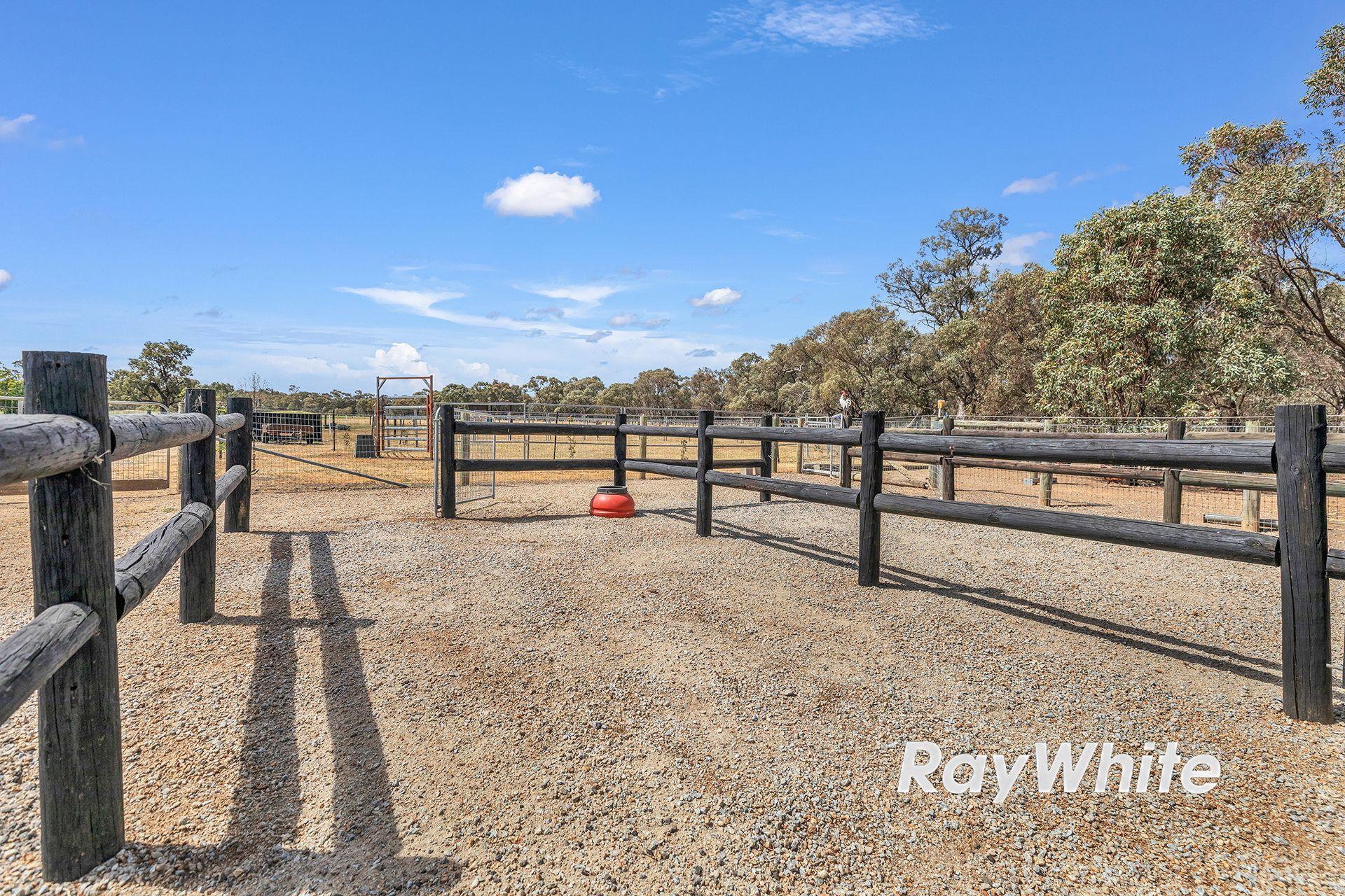 Giddy Up - We've Found Your Perfect Horse Property!
