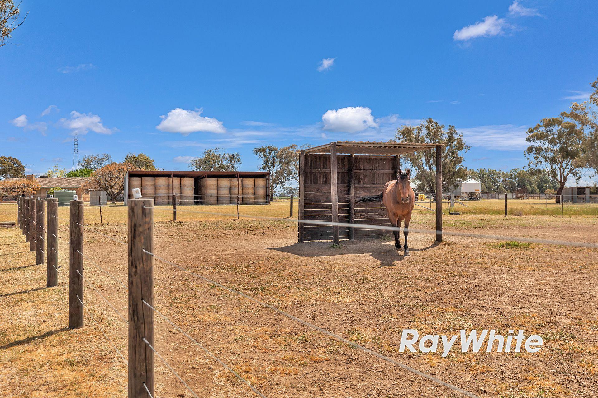 Giddy Up - We've Found Your Perfect Horse Property!