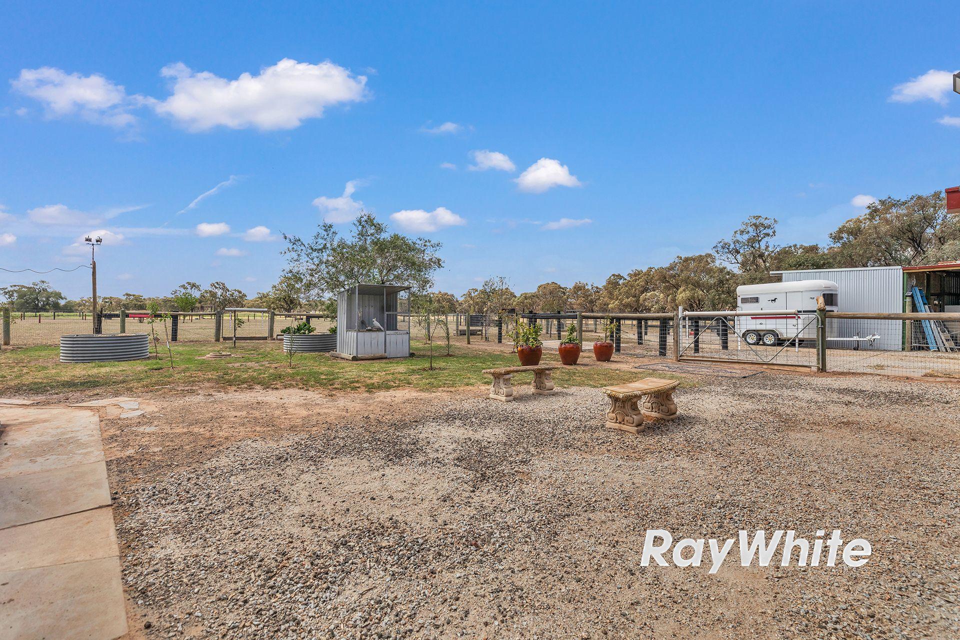 Giddy Up - We've Found Your Perfect Horse Property!