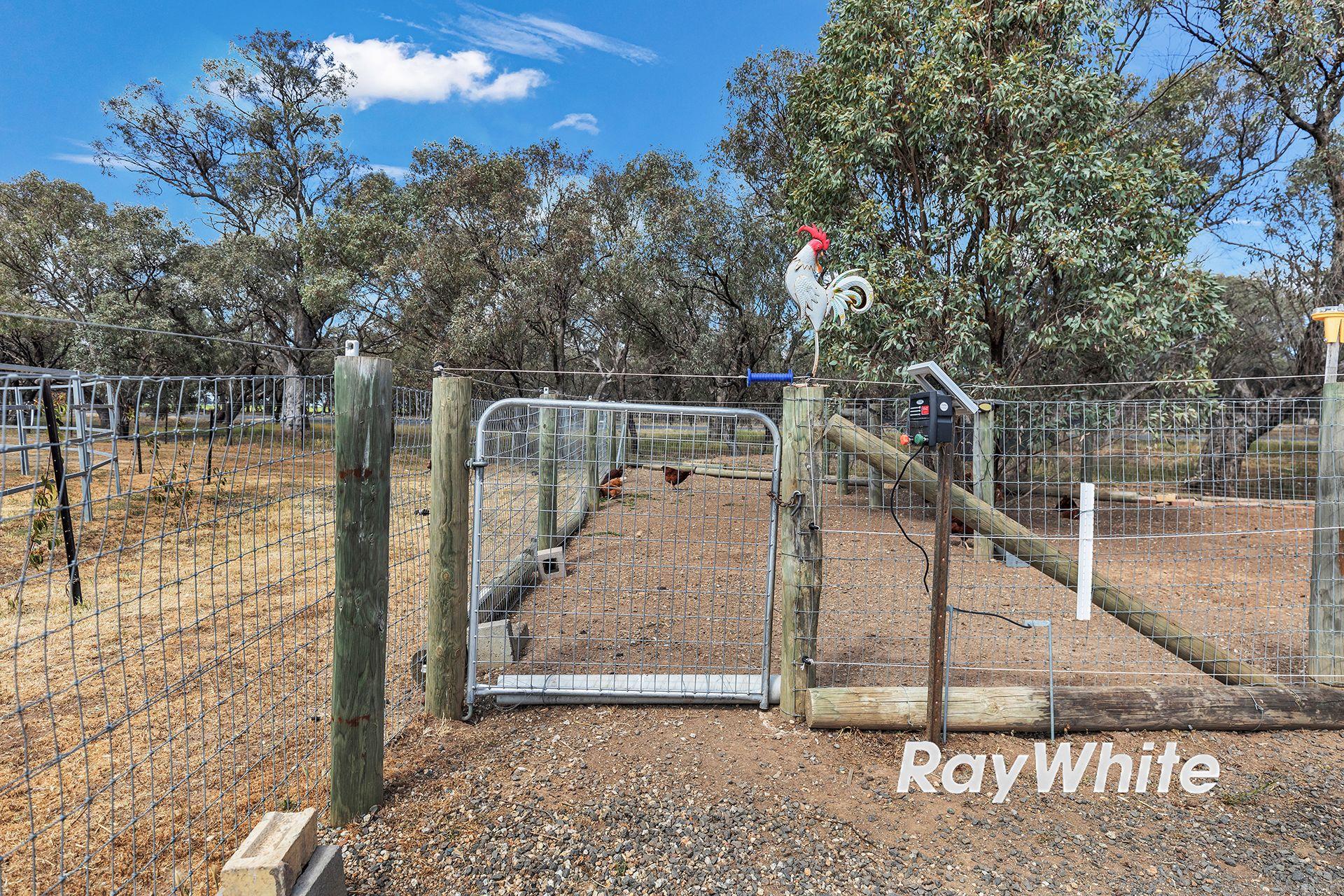 Giddy Up - We've Found Your Perfect Horse Property!