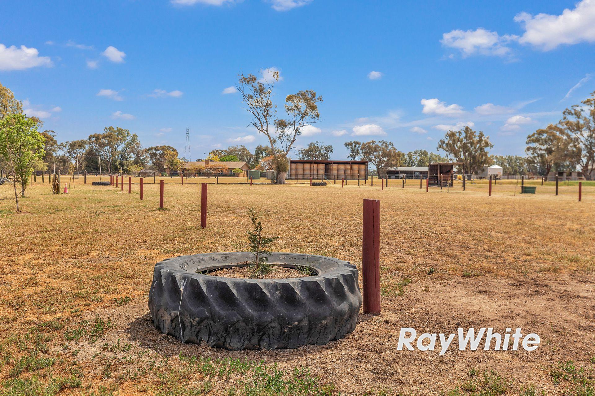 Giddy Up - We've Found Your Perfect Horse Property!