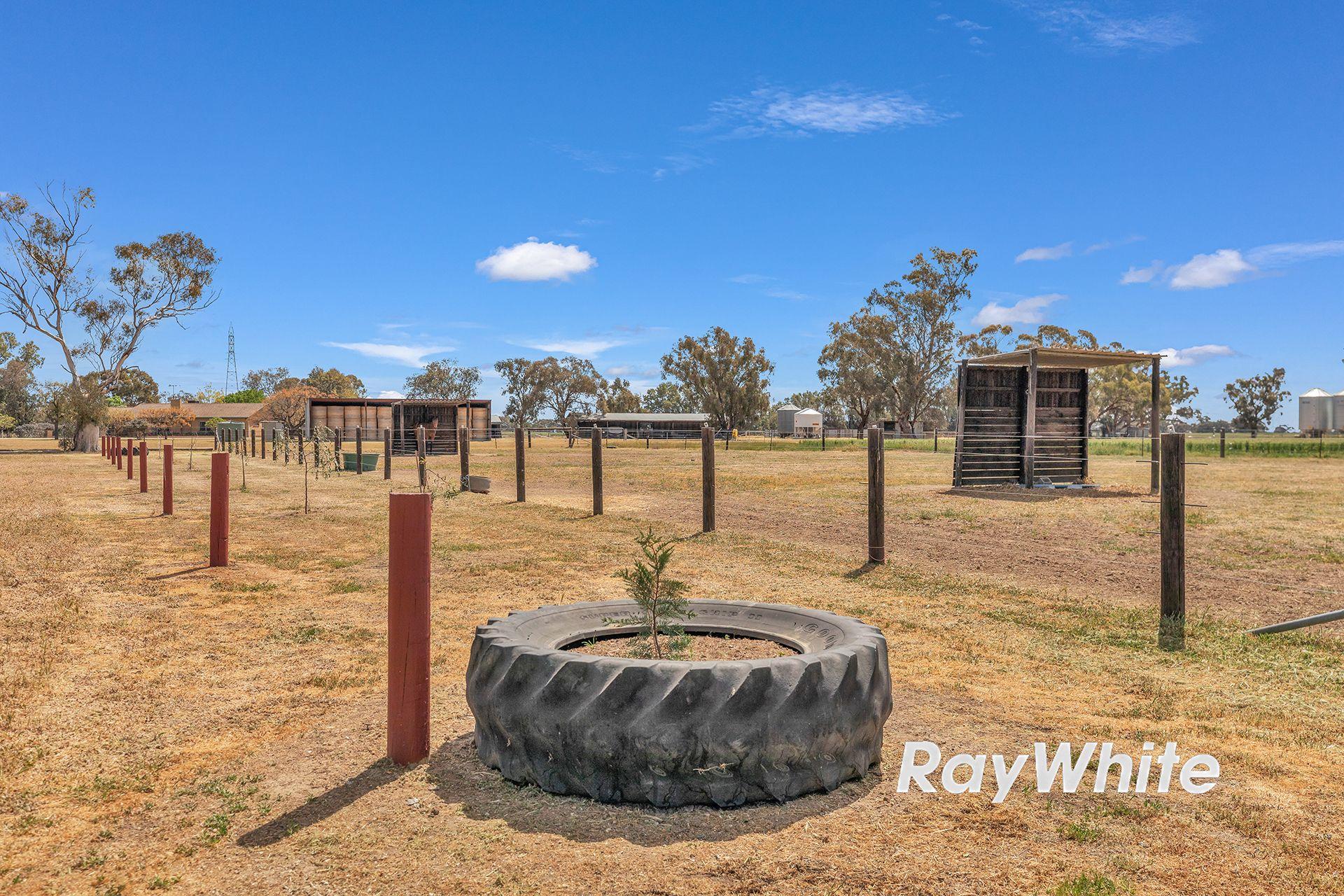 Giddy Up - We've Found Your Perfect Horse Property!