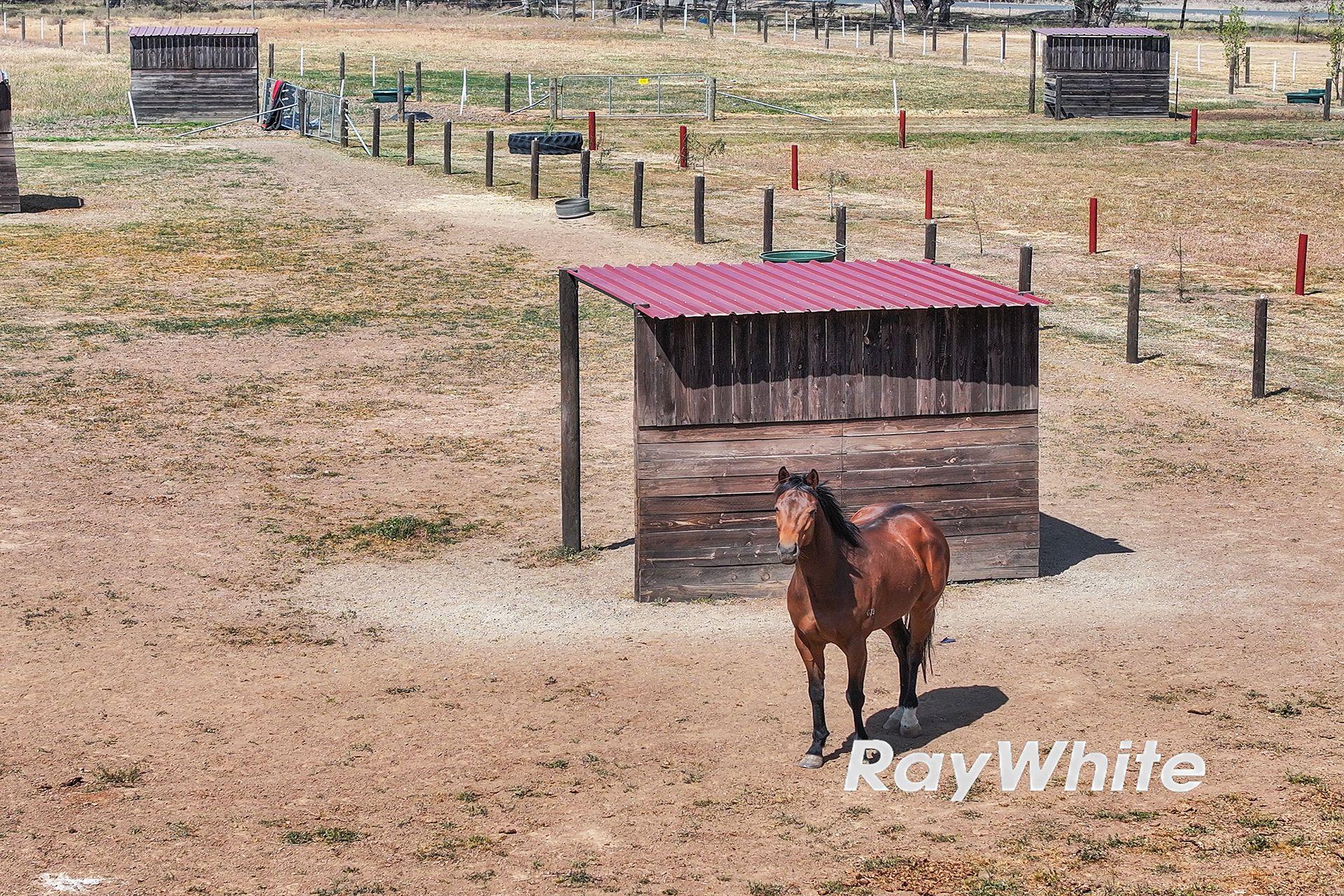 Giddy Up - We've Found Your Perfect Horse Property!