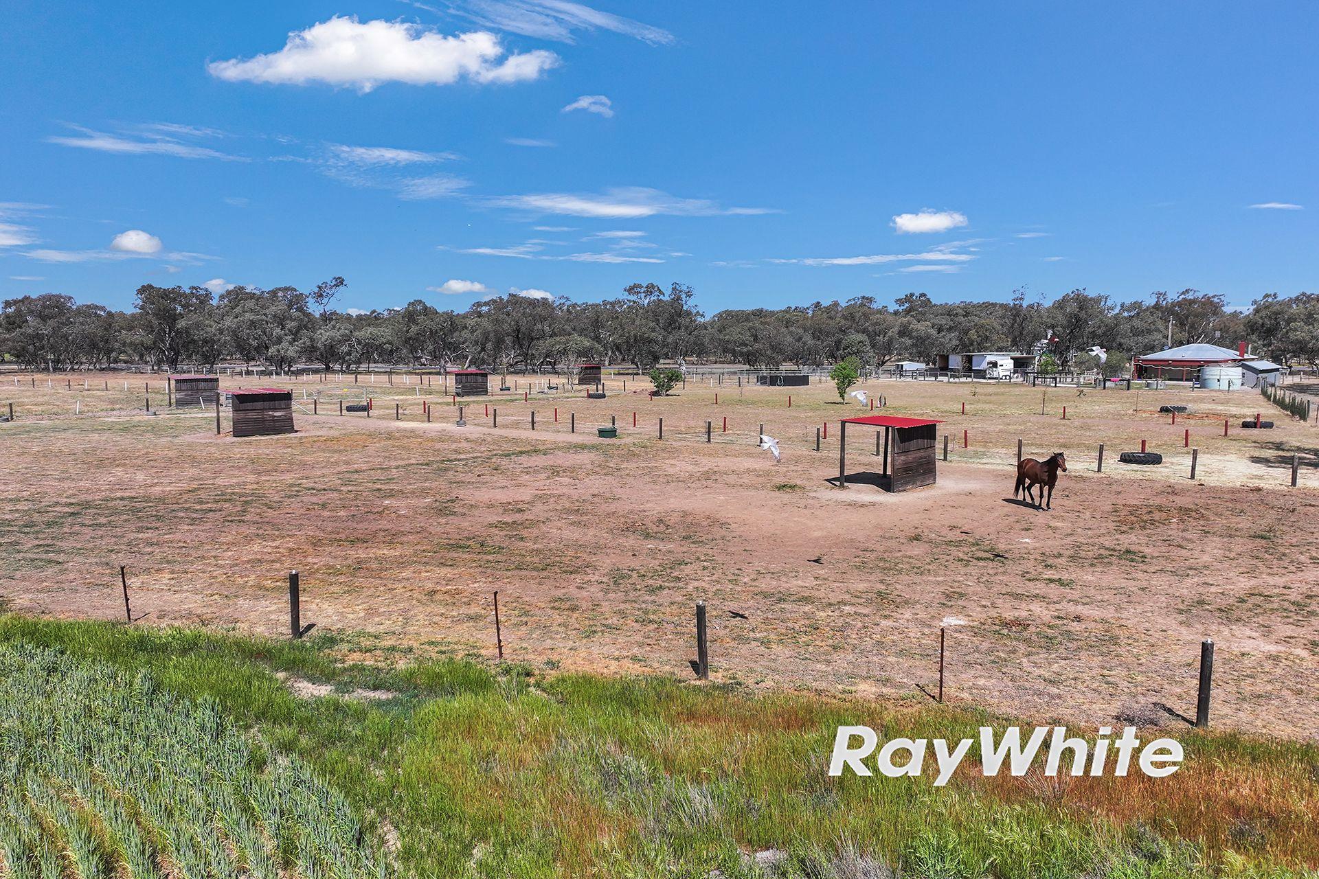 Giddy Up - We've Found Your Perfect Horse Property!