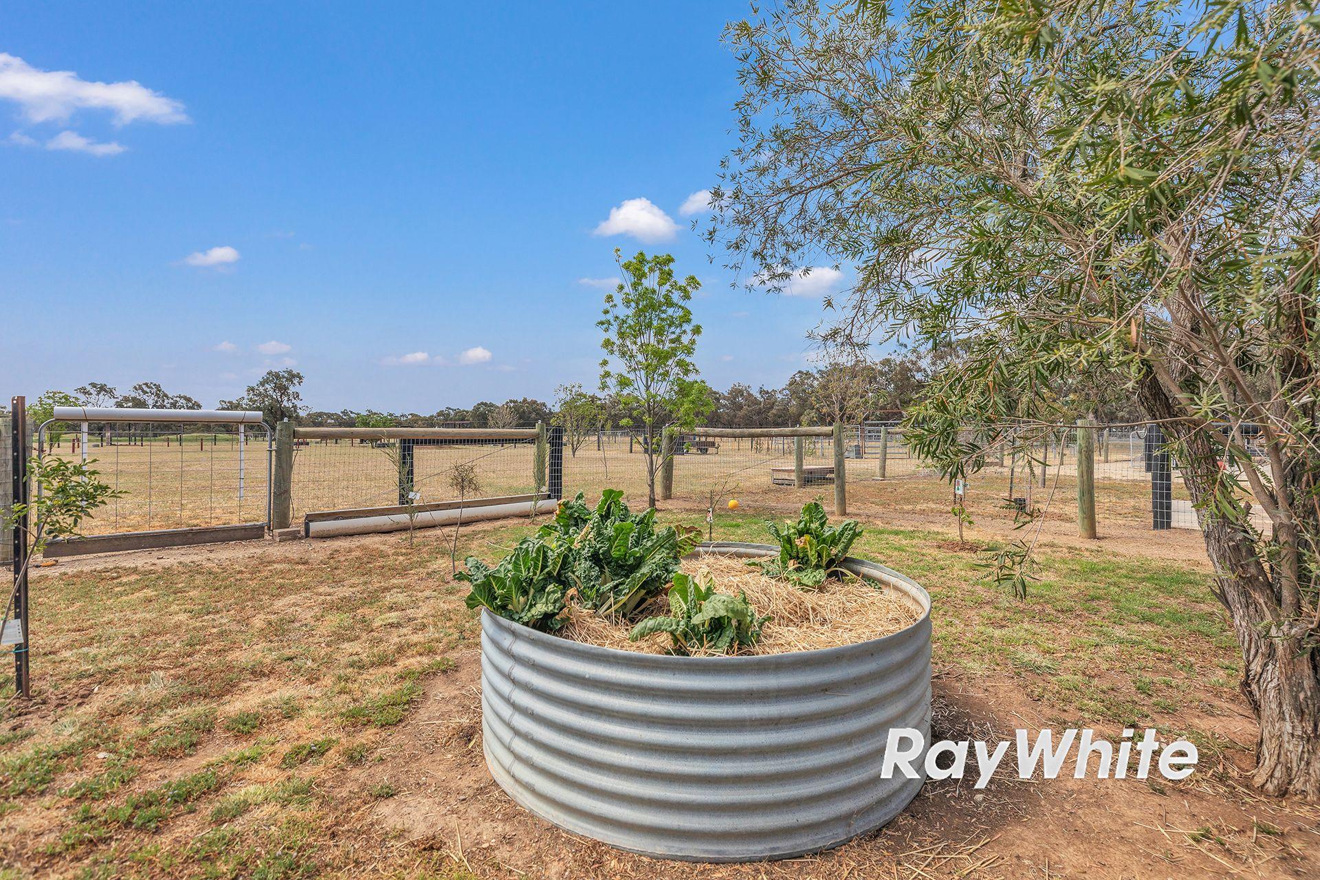 Giddy Up - We've Found Your Perfect Horse Property!