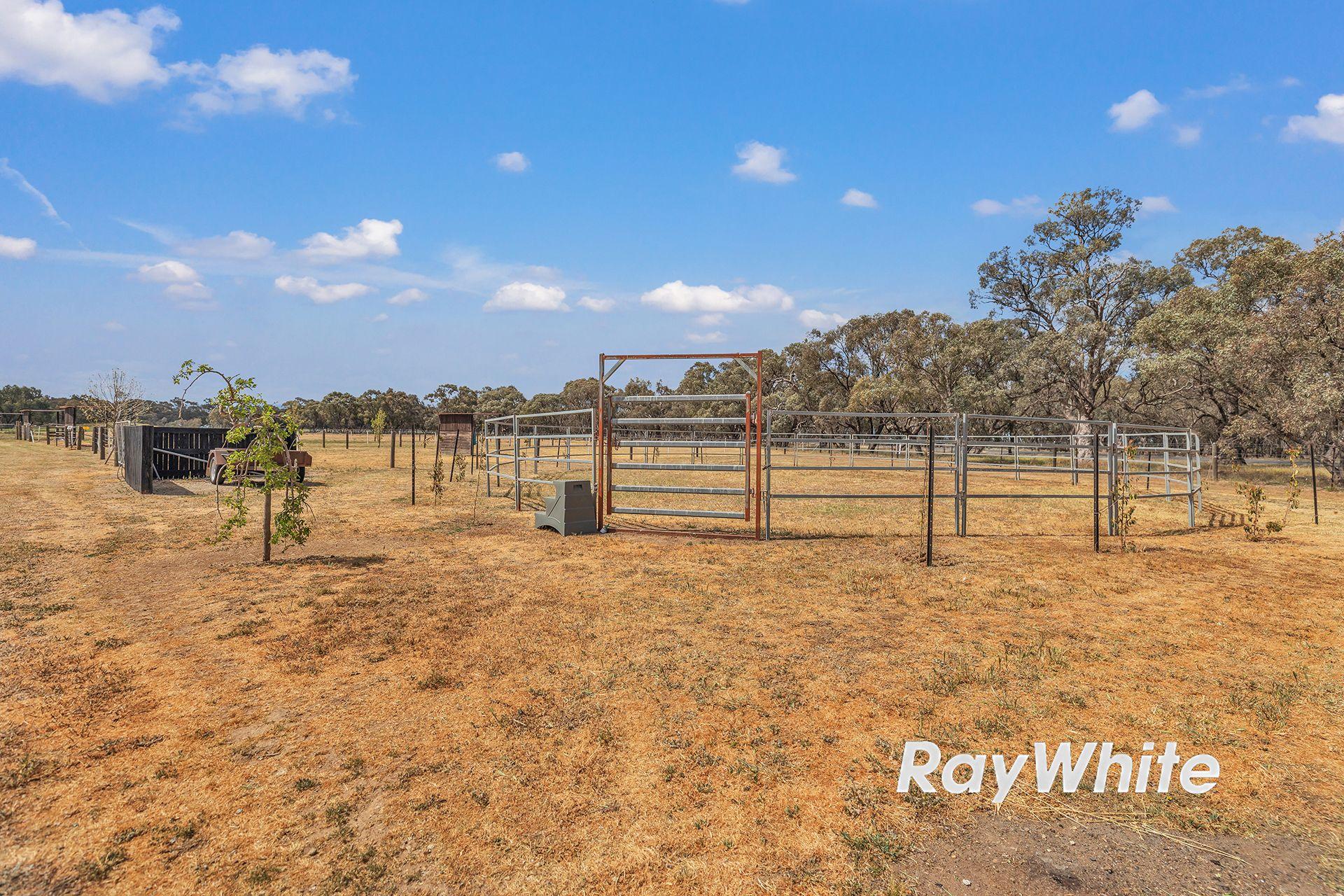 Giddy Up - We've Found Your Perfect Horse Property!