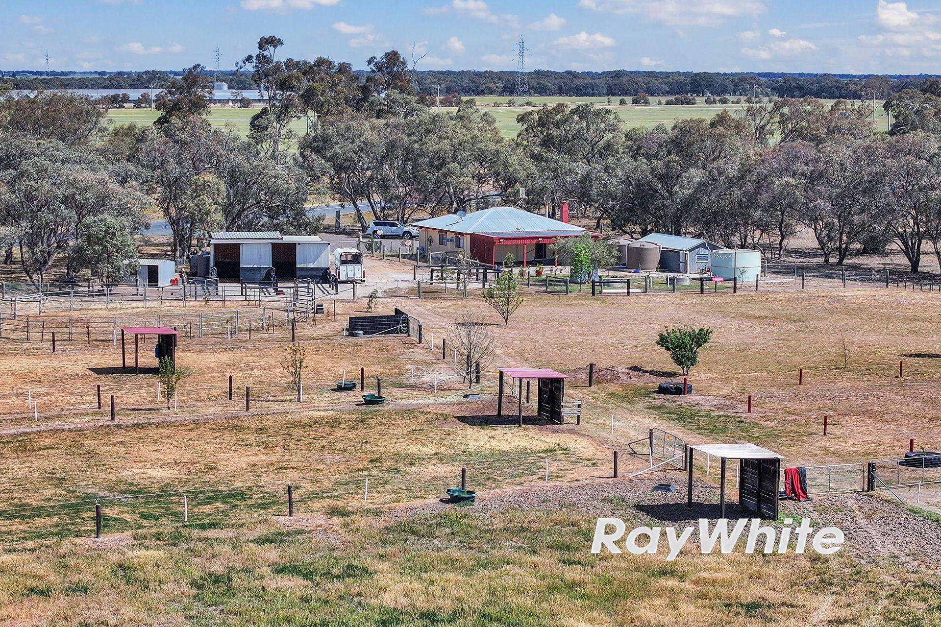 Giddy Up - We've Found Your Perfect Horse Property!