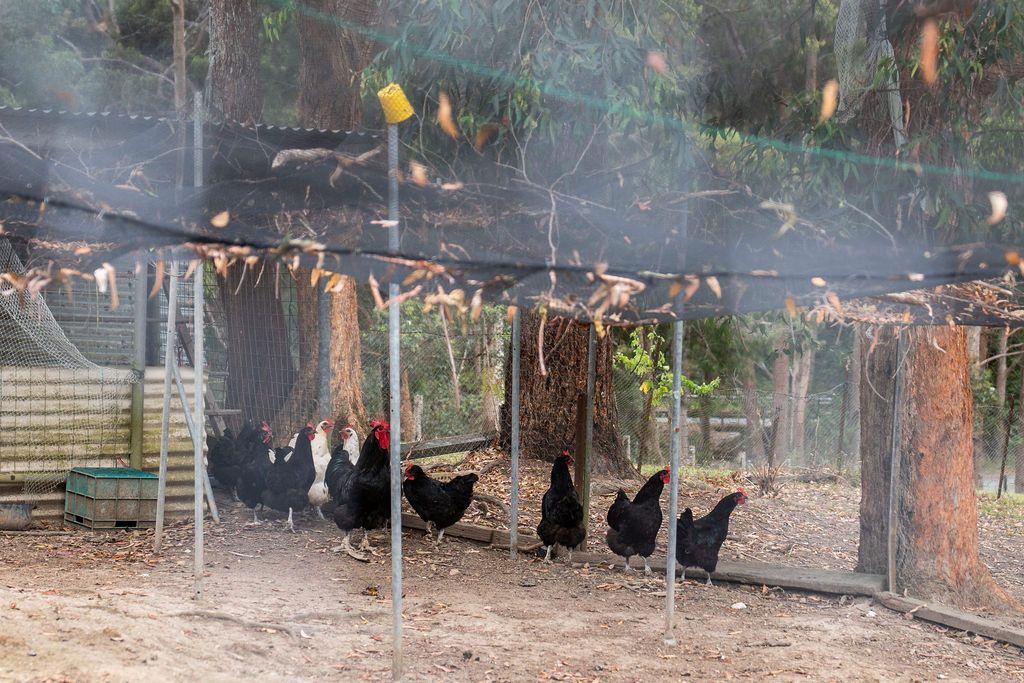 Fully Furnished 3 Bedroom Rural Retreat