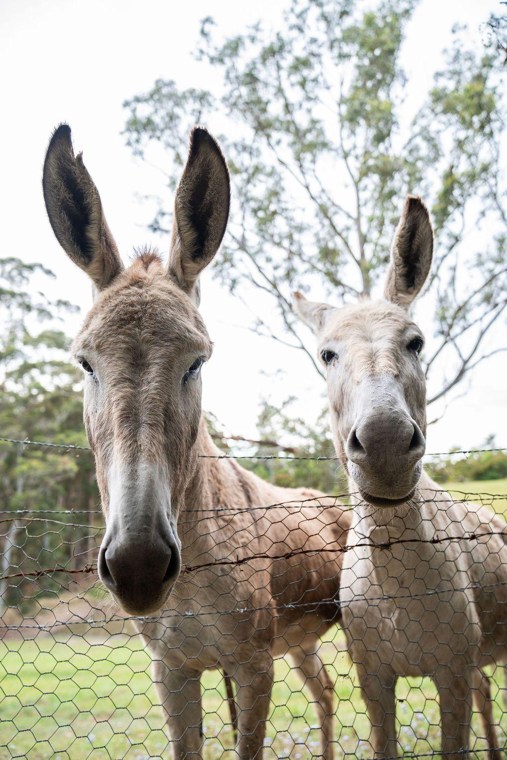 Fully Furnished 3 Bedroom Rural Retreat