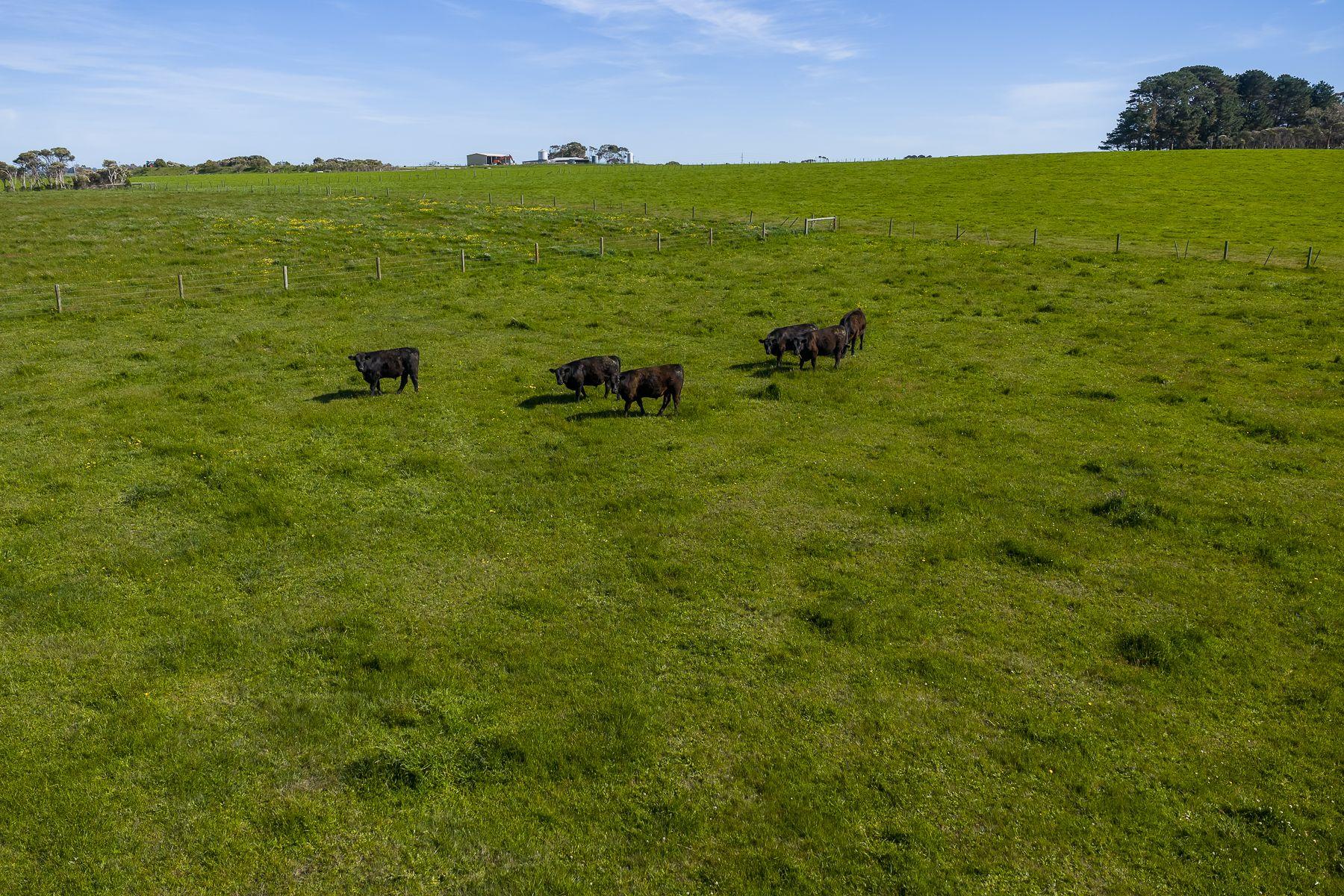 80-Acre Lifestyle Opportunity