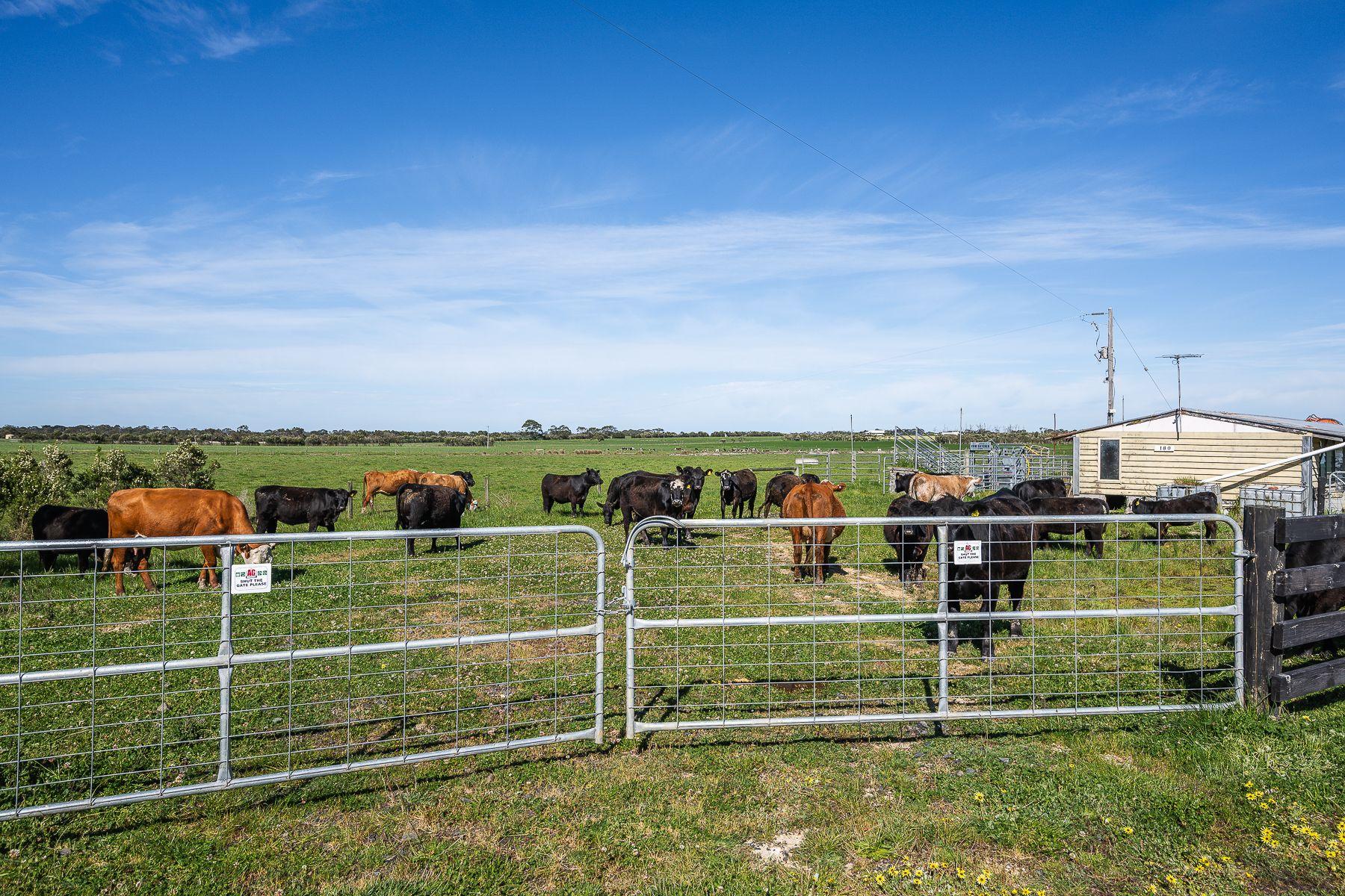 80-Acre Lifestyle Opportunity