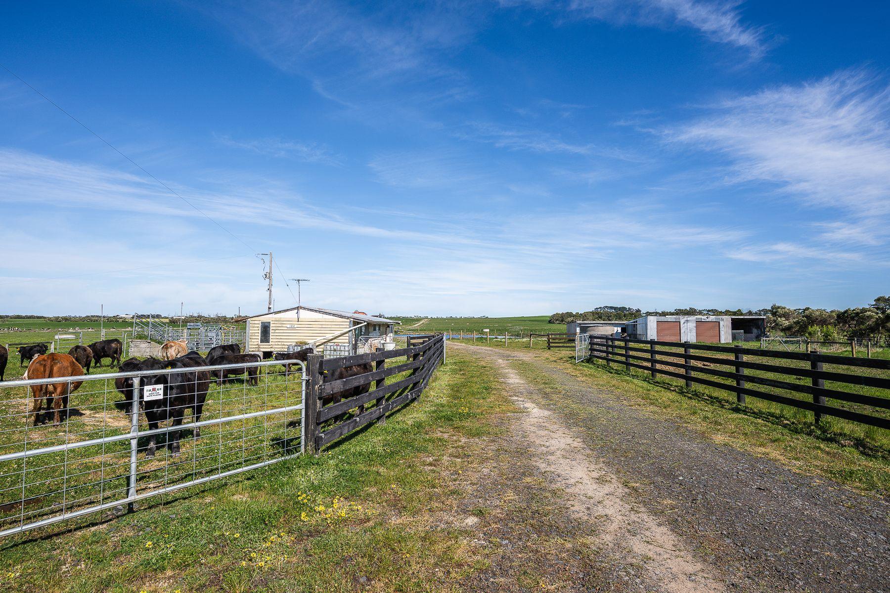 80-Acre Lifestyle Opportunity