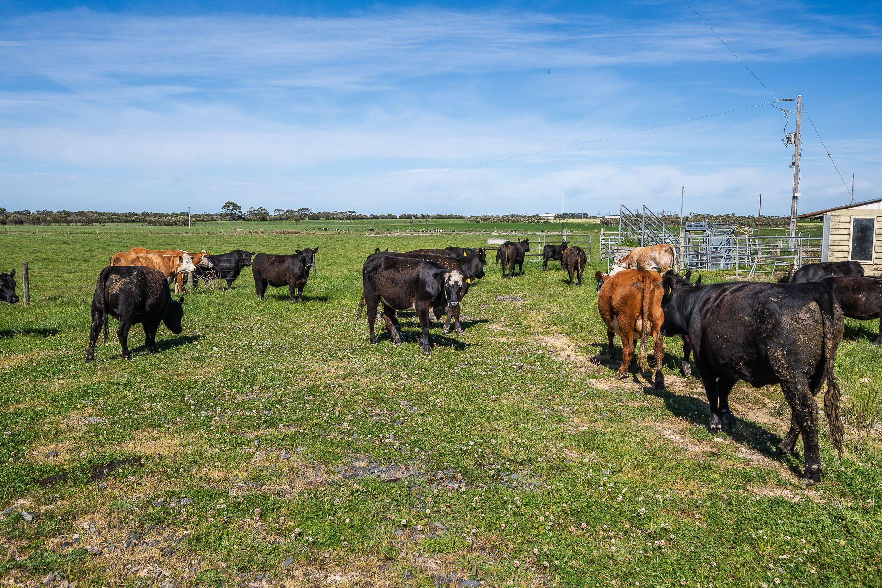 80-Acre Lifestyle Opportunity