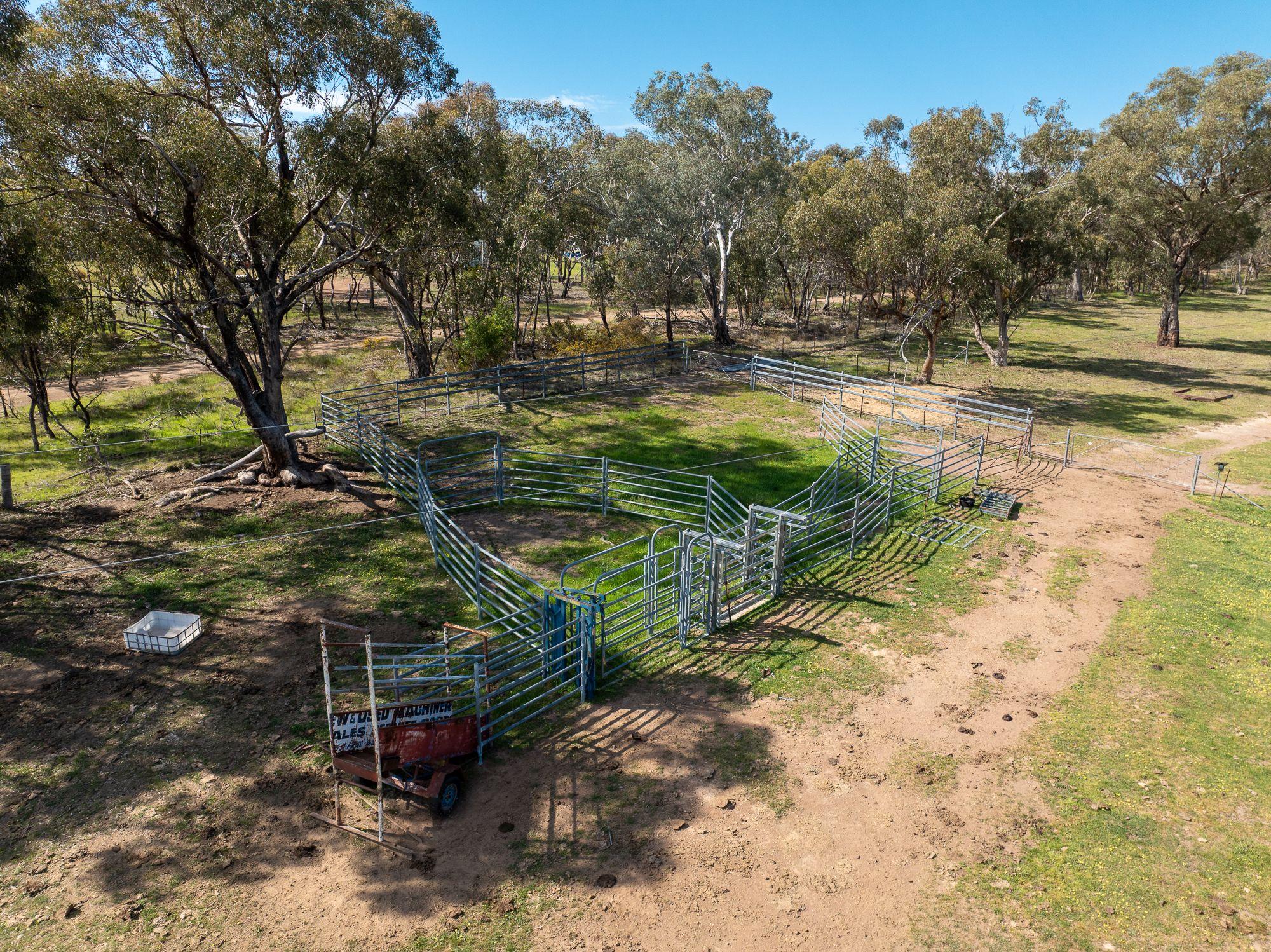 Recreational and Rural Lifestyle Opportunity!