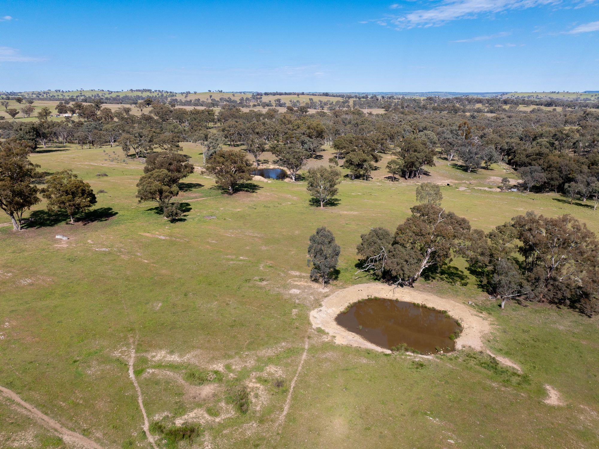 Recreational and Rural Lifestyle Opportunity!