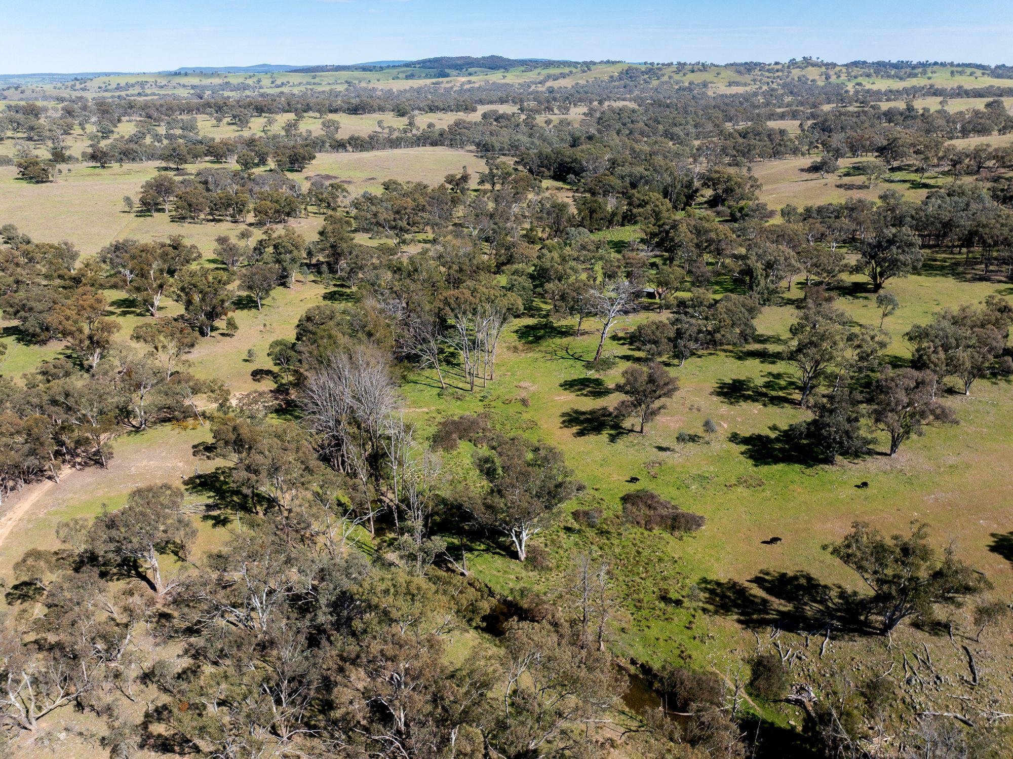 Recreational and Rural Lifestyle Opportunity!