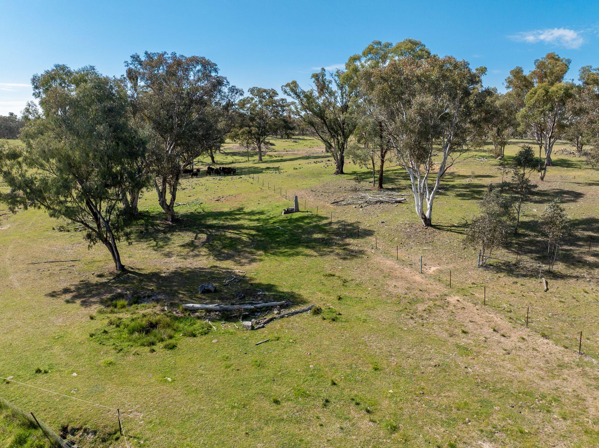 Recreational and Rural Lifestyle Opportunity!