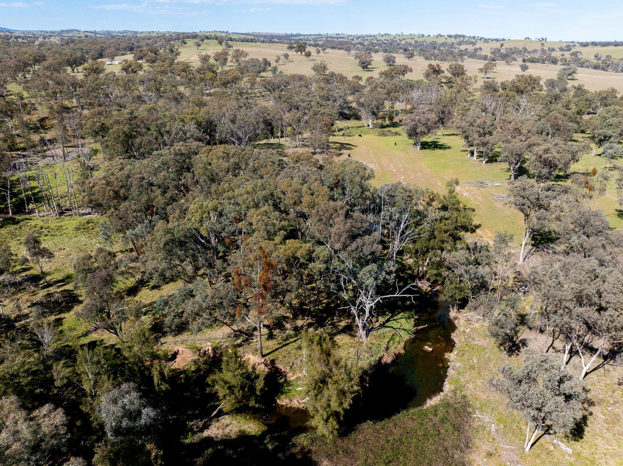 Recreational and Rural Lifestyle Opportunity!