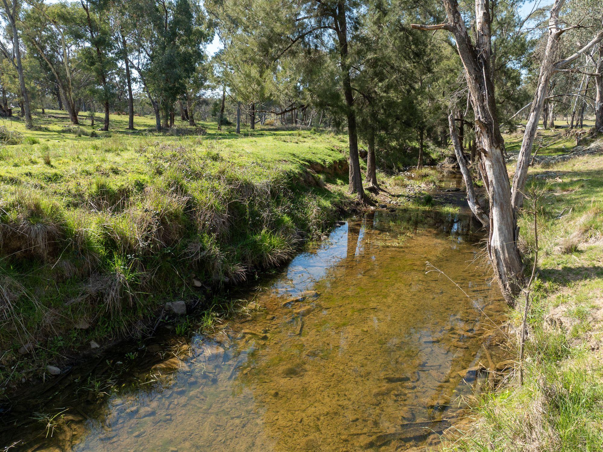 Recreational and Rural Lifestyle Opportunity!