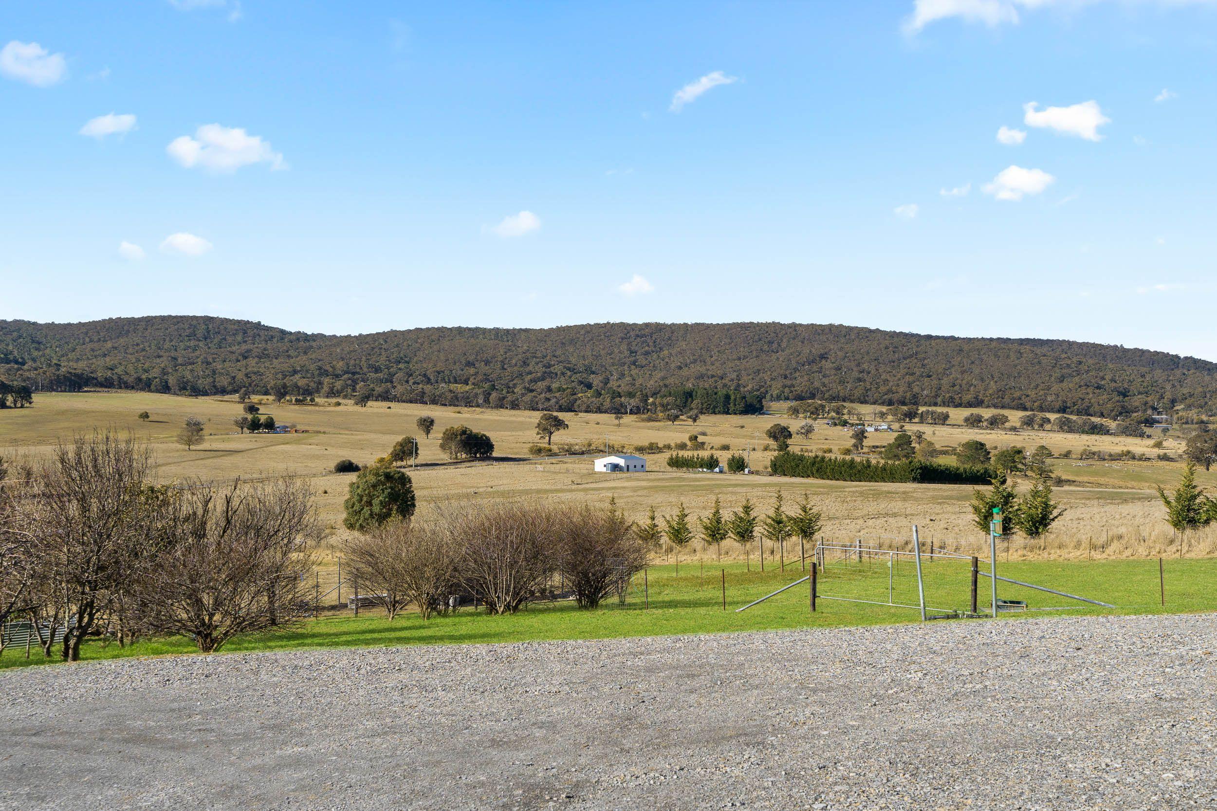 Enjoy the Quiet Life